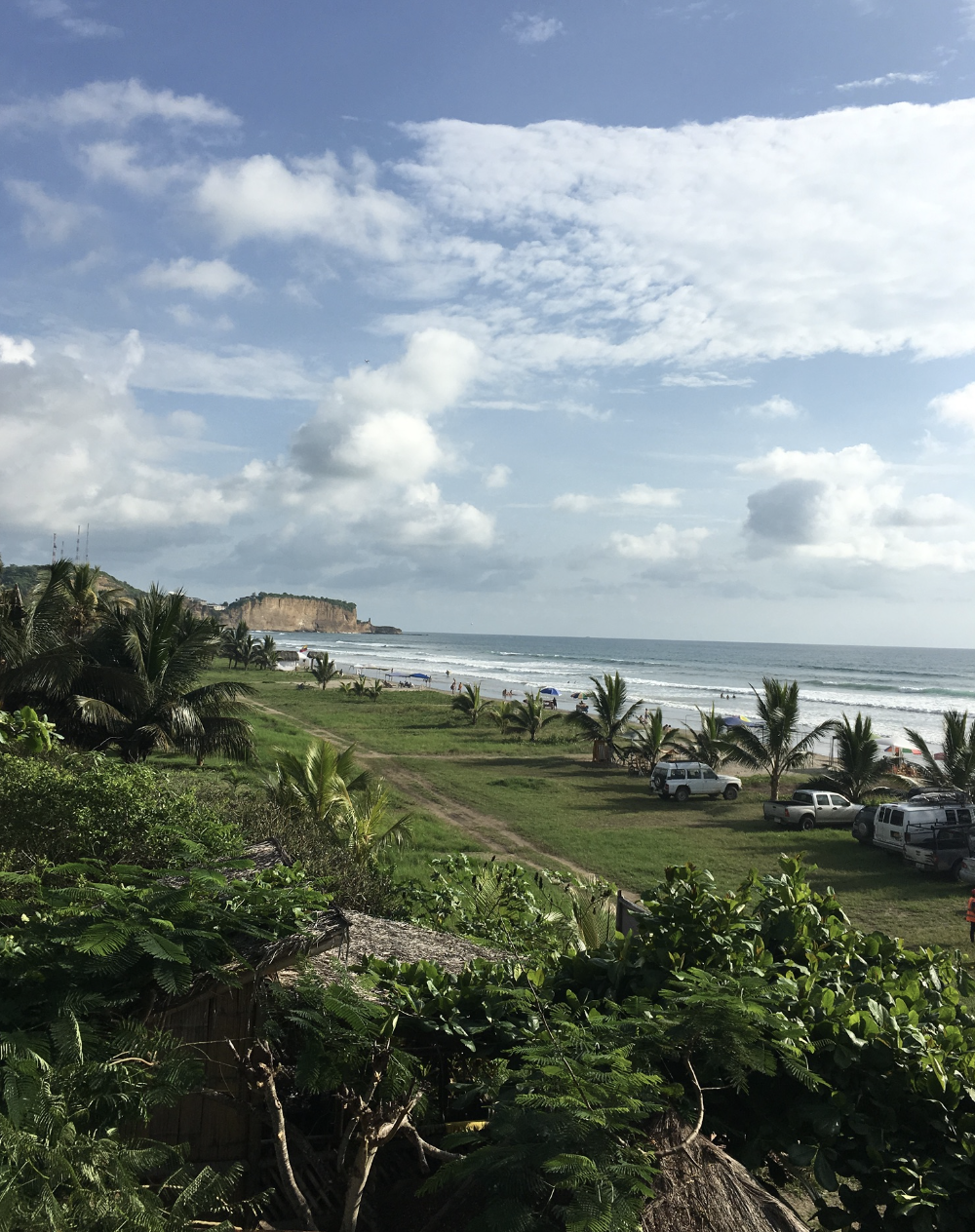 Screen Shot 2018-09-16 at 11.44.28 AM.png