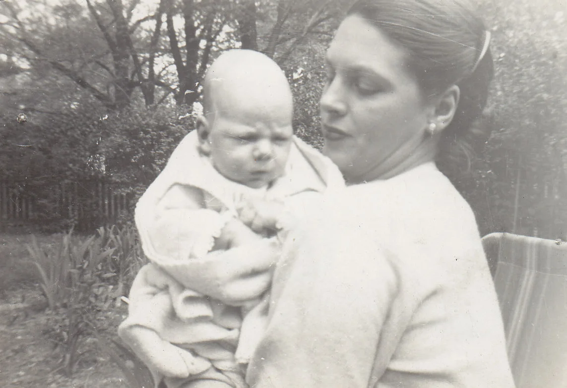 What Disturbs Our Blood James Fitzgerald