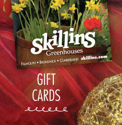 Skillins Gift Cards for all occasions.jpg