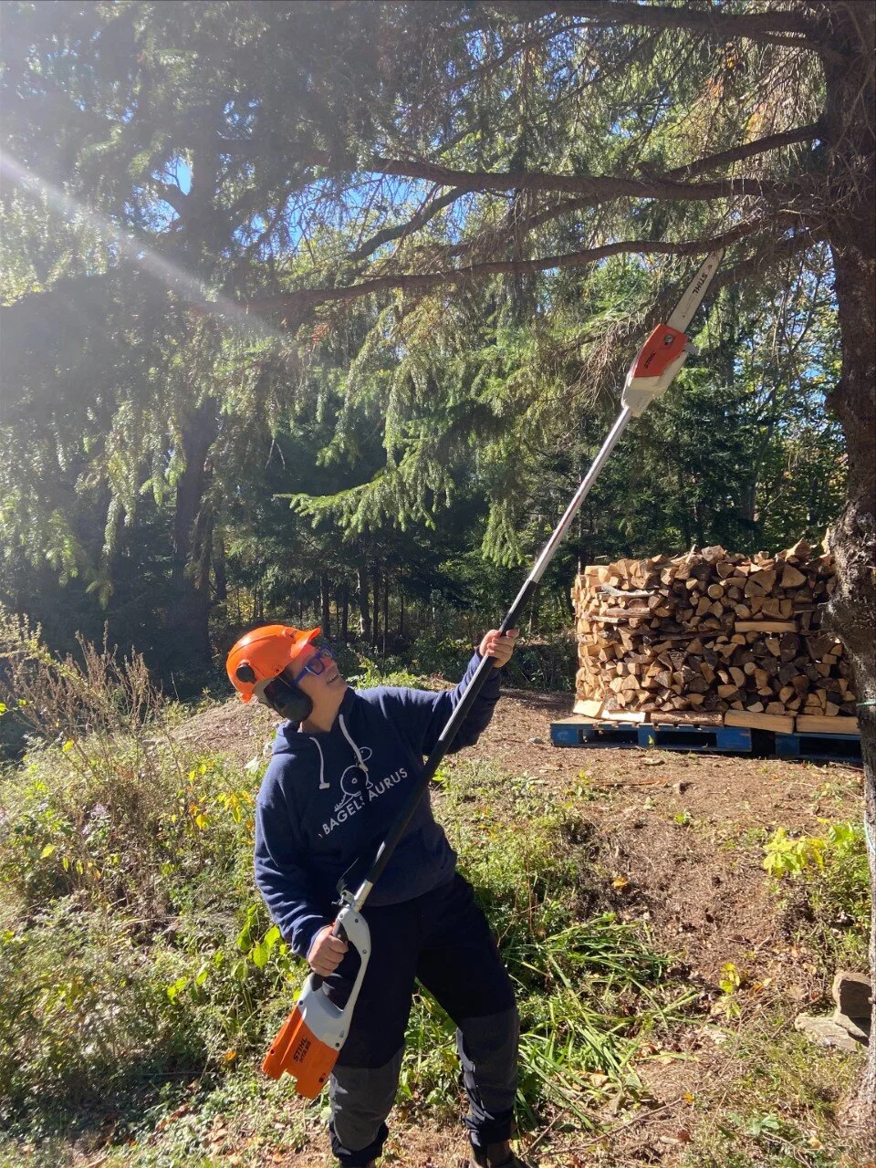 Electric Property Maintenance Tools