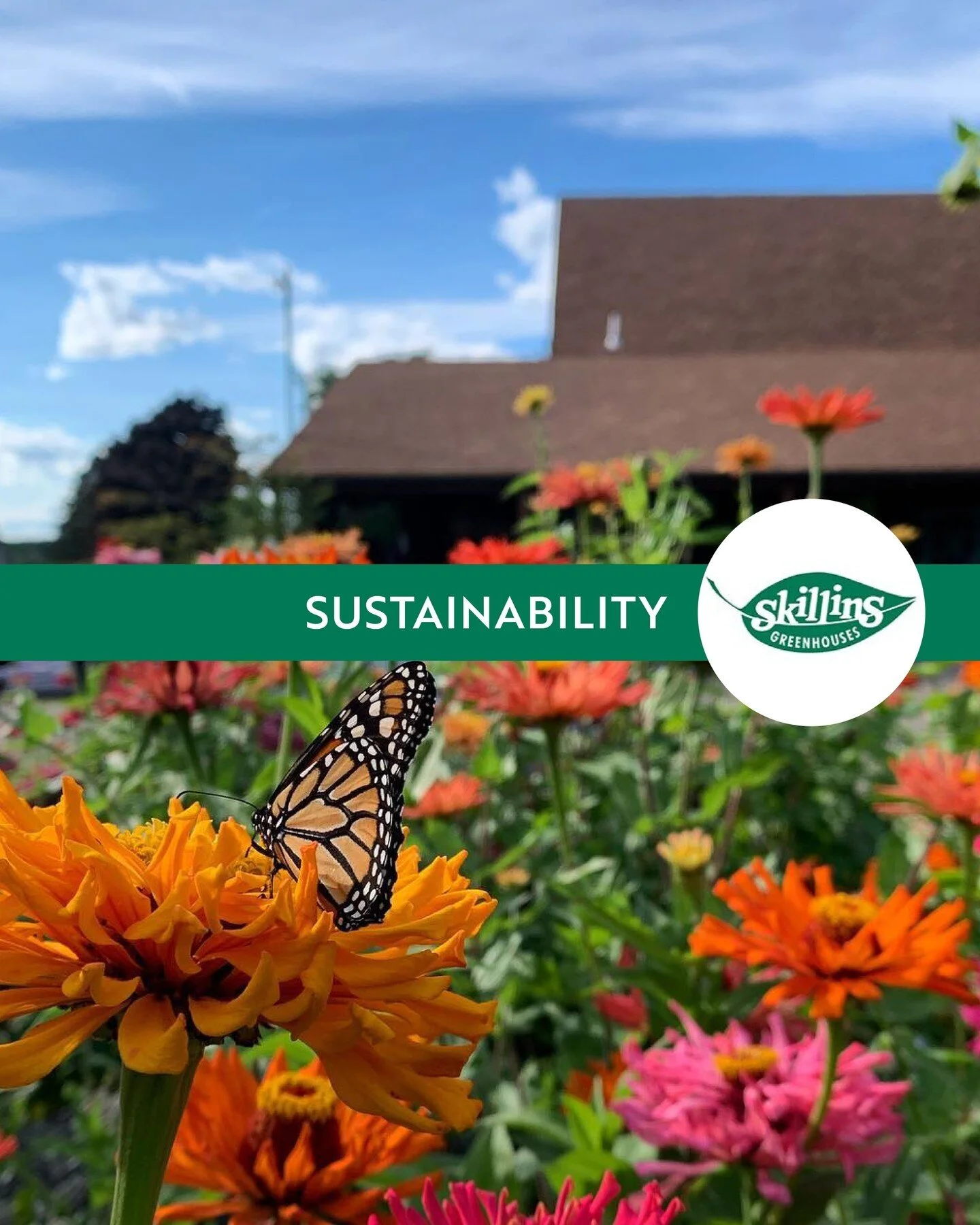 Green Home Solutions Our Team Green & Healthy Maine HOMES