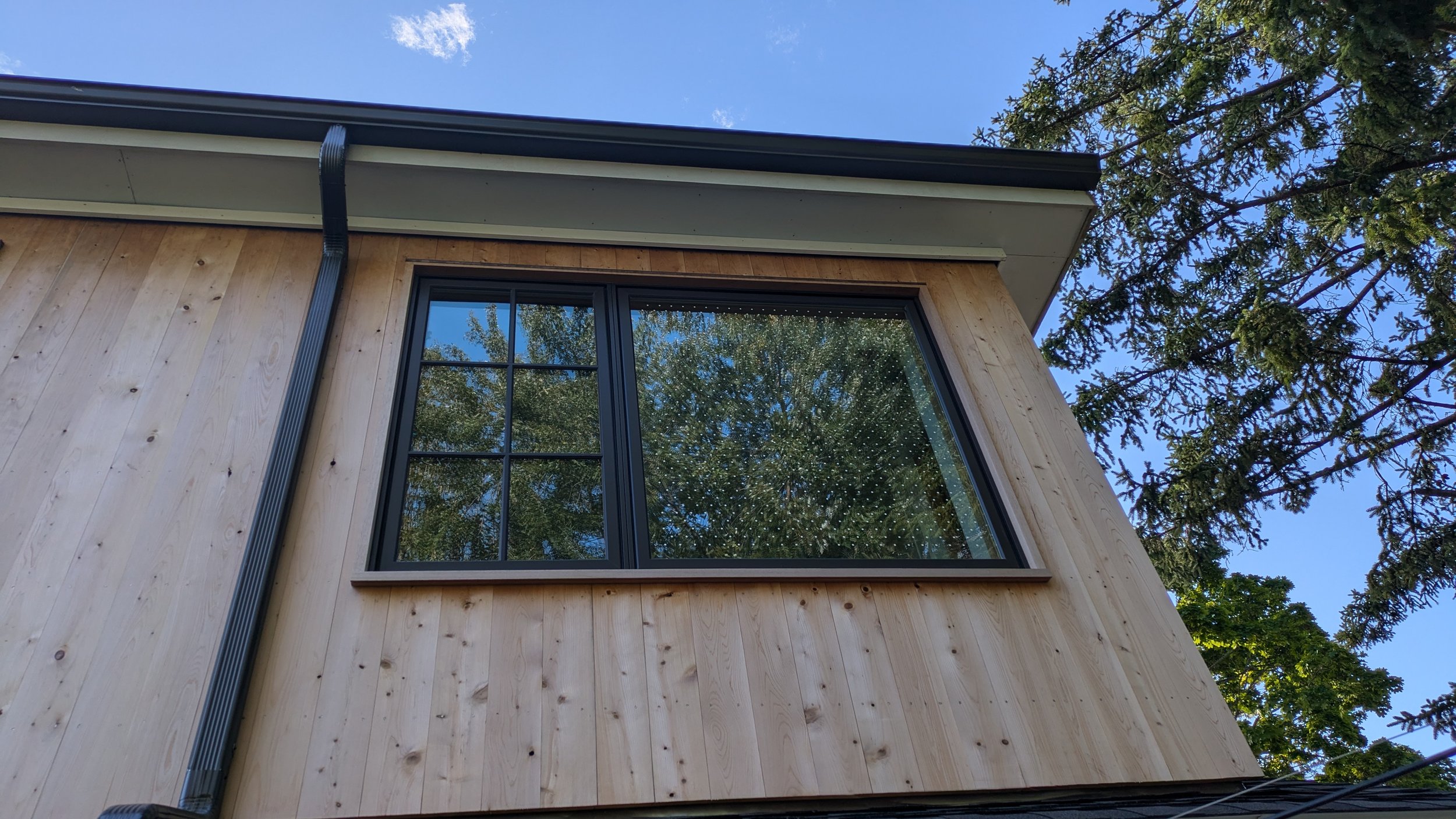 Bird-friendly windows, by design