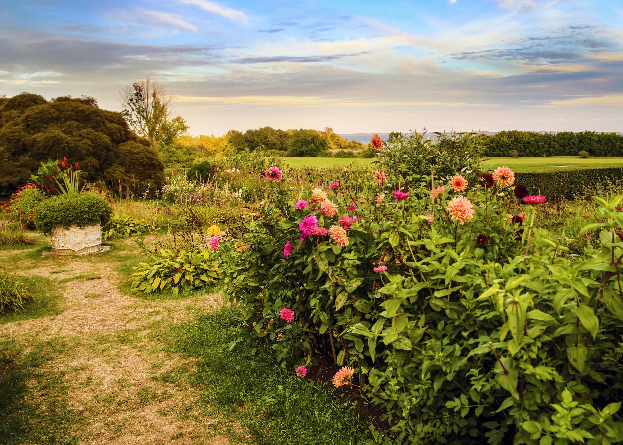 Autumn planting tips, native seeding, and garden to-dos