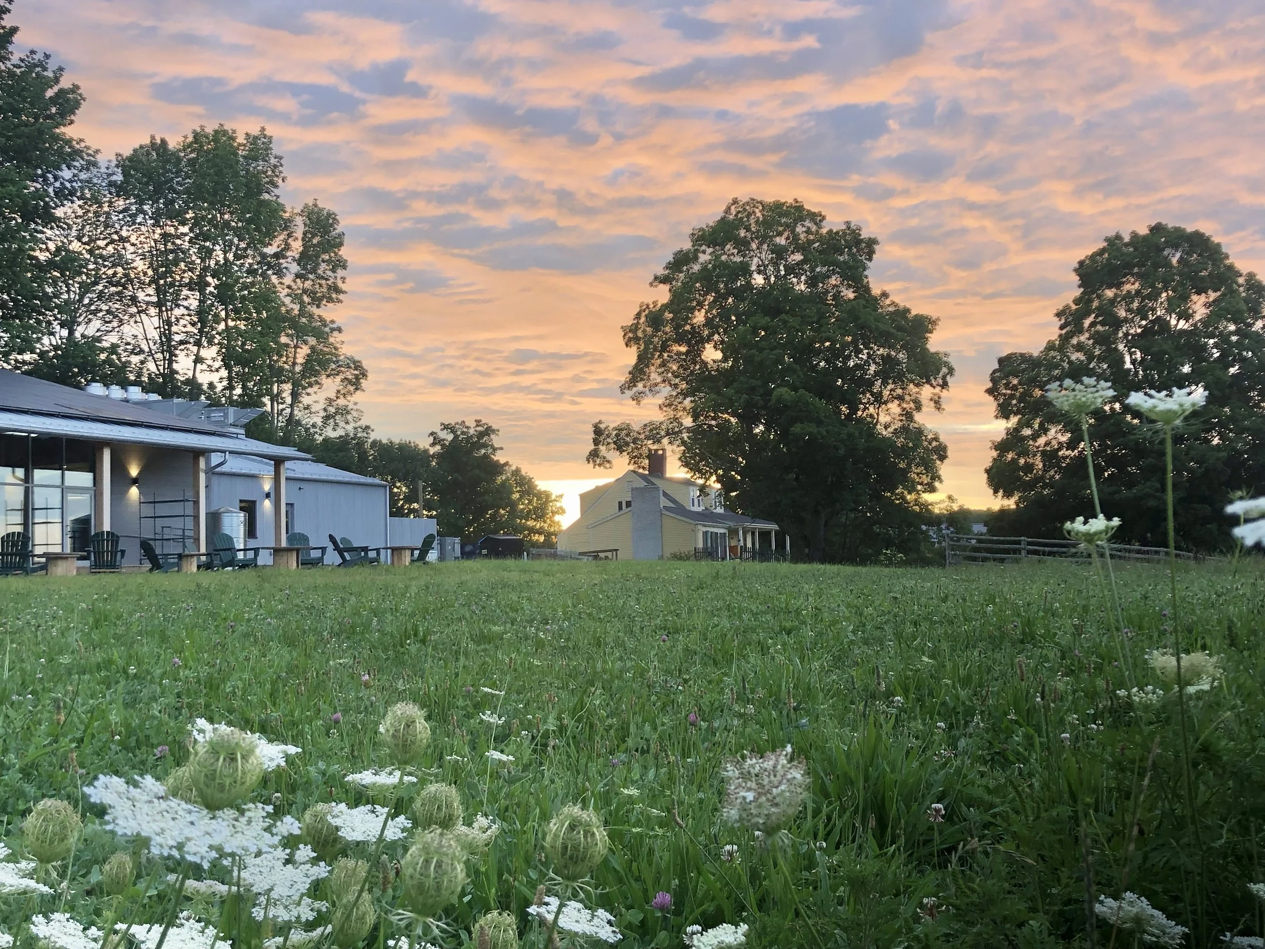 Photo courtesy of The Ecology School 