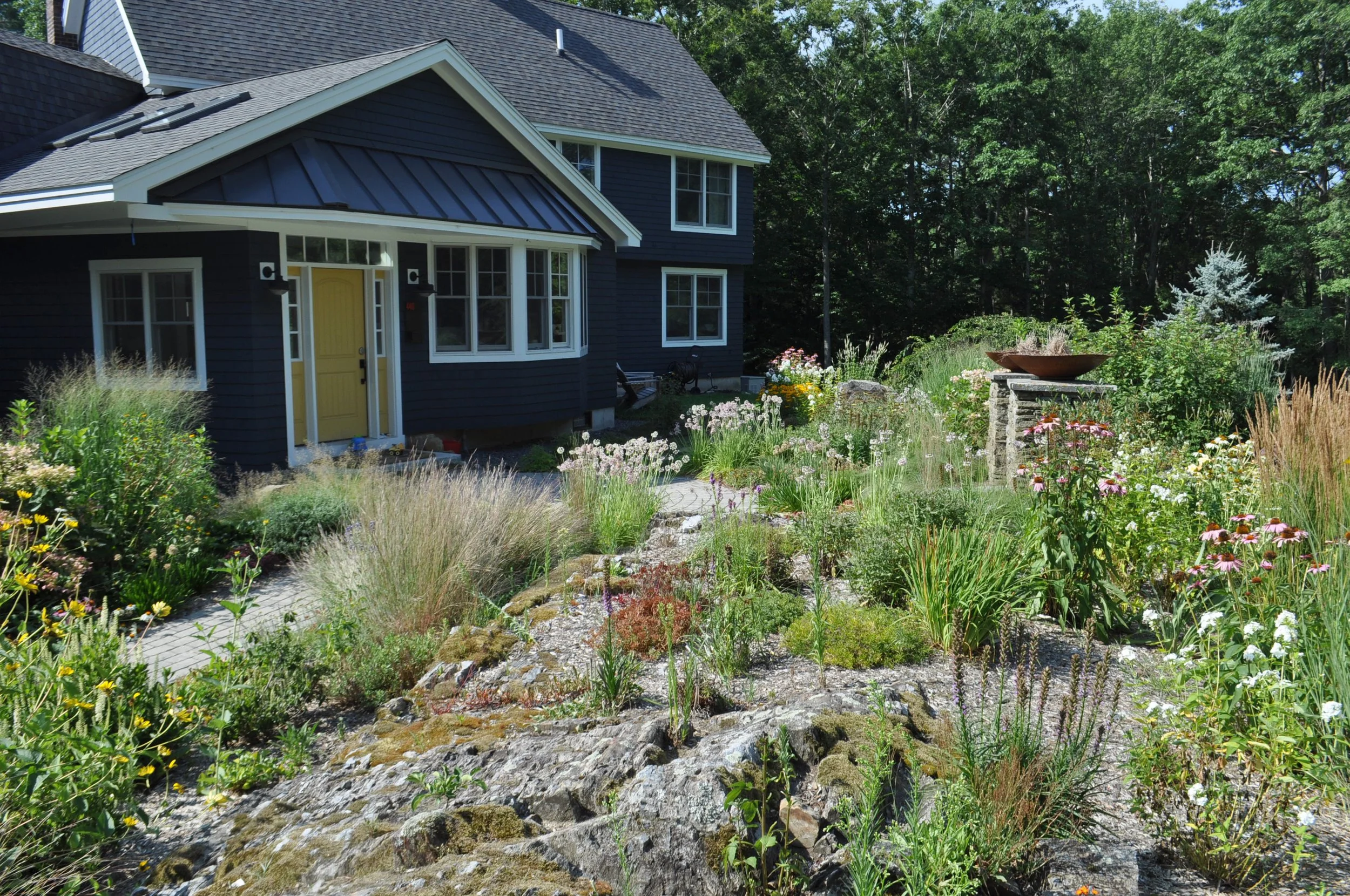 Larkspur Design - photo 1.jpg