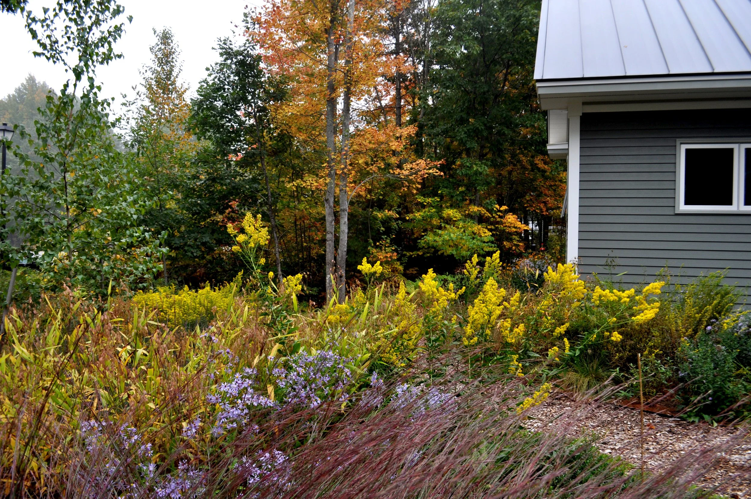 Larkspur Design - photo 2.jpg