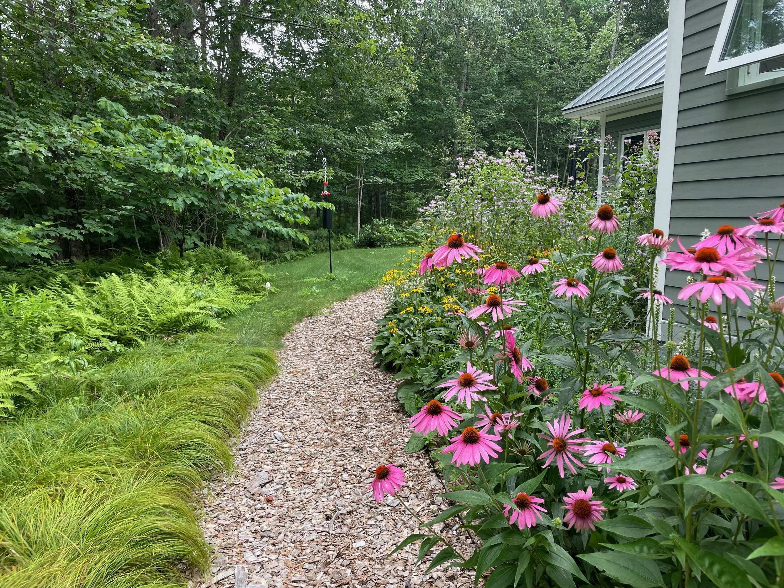 Larkspur Design - photo 3.jpeg