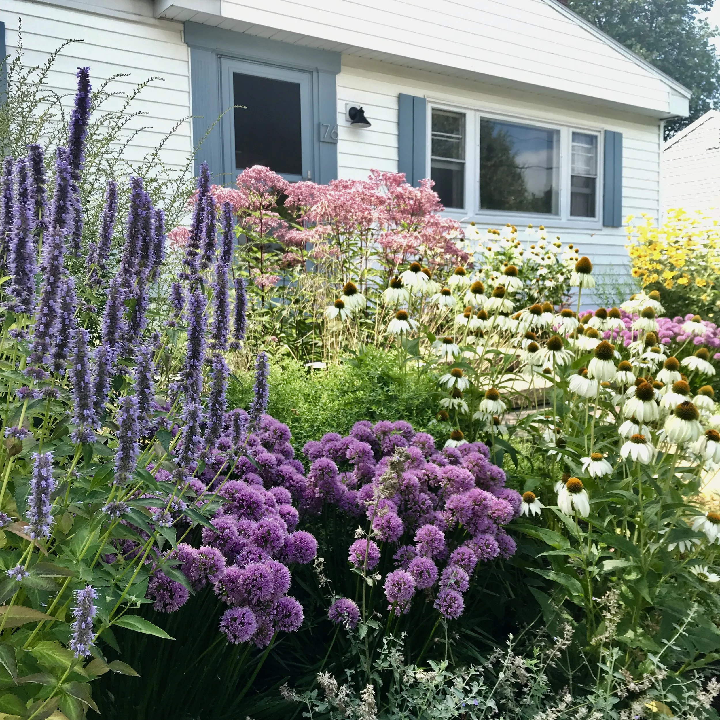 Larkspur Design - photo 5.jpeg