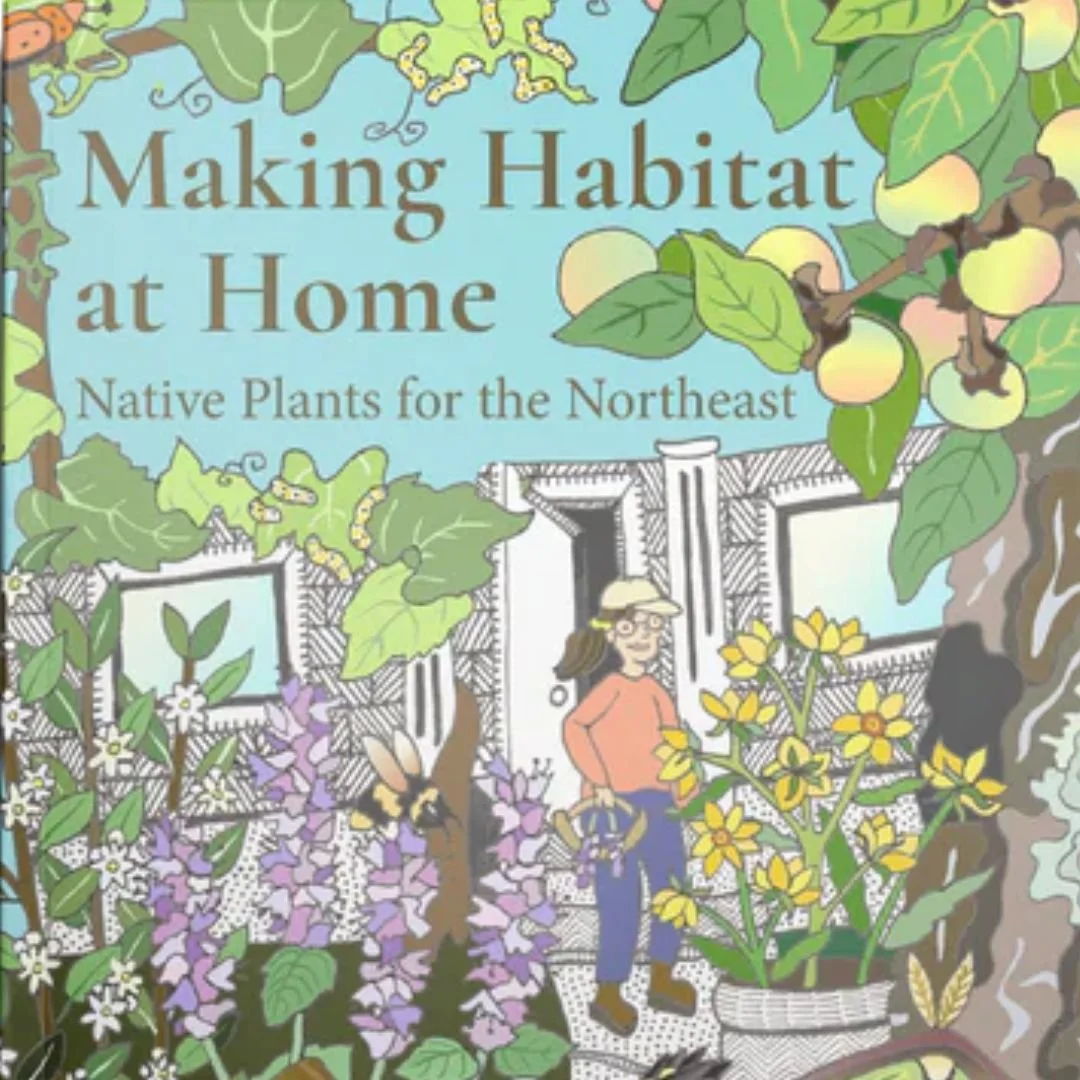 Wild Seed Project Book Launch for Making Habitat at Home: Native Plants for the Northeast