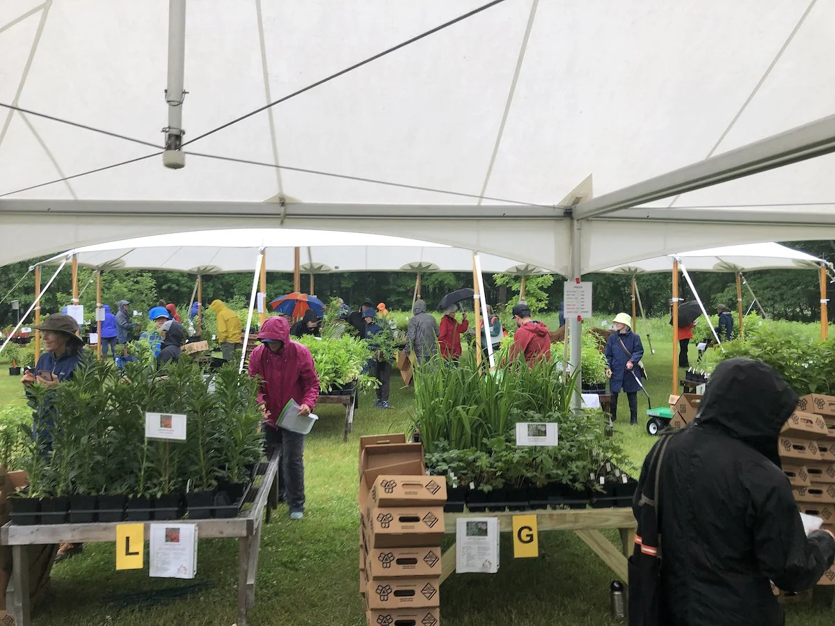 Maine Audubon Native Plants Festival &amp; Sale