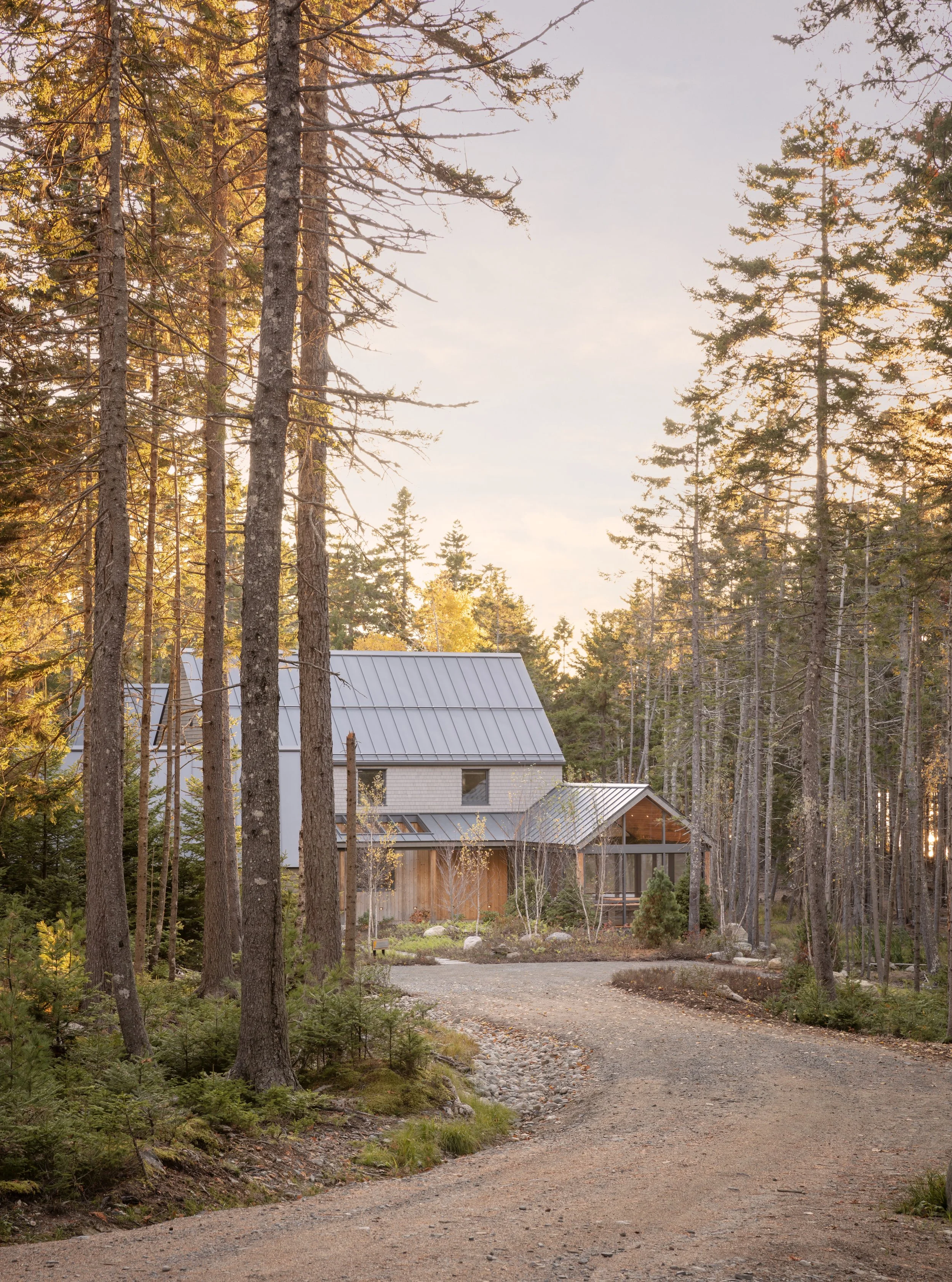 A coastal home designed to preserve—and celebrate—its natural setting