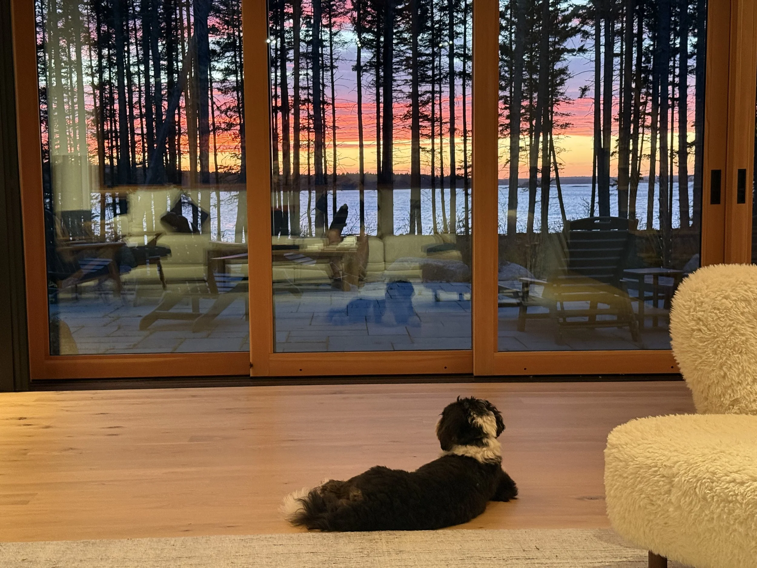  Pepper the dog loves her Squid Cove home as much as the Coopers do, whether exploring woods and shore, playing inside or gazing out at one of the magnificent sunsets across the water at day's end. 