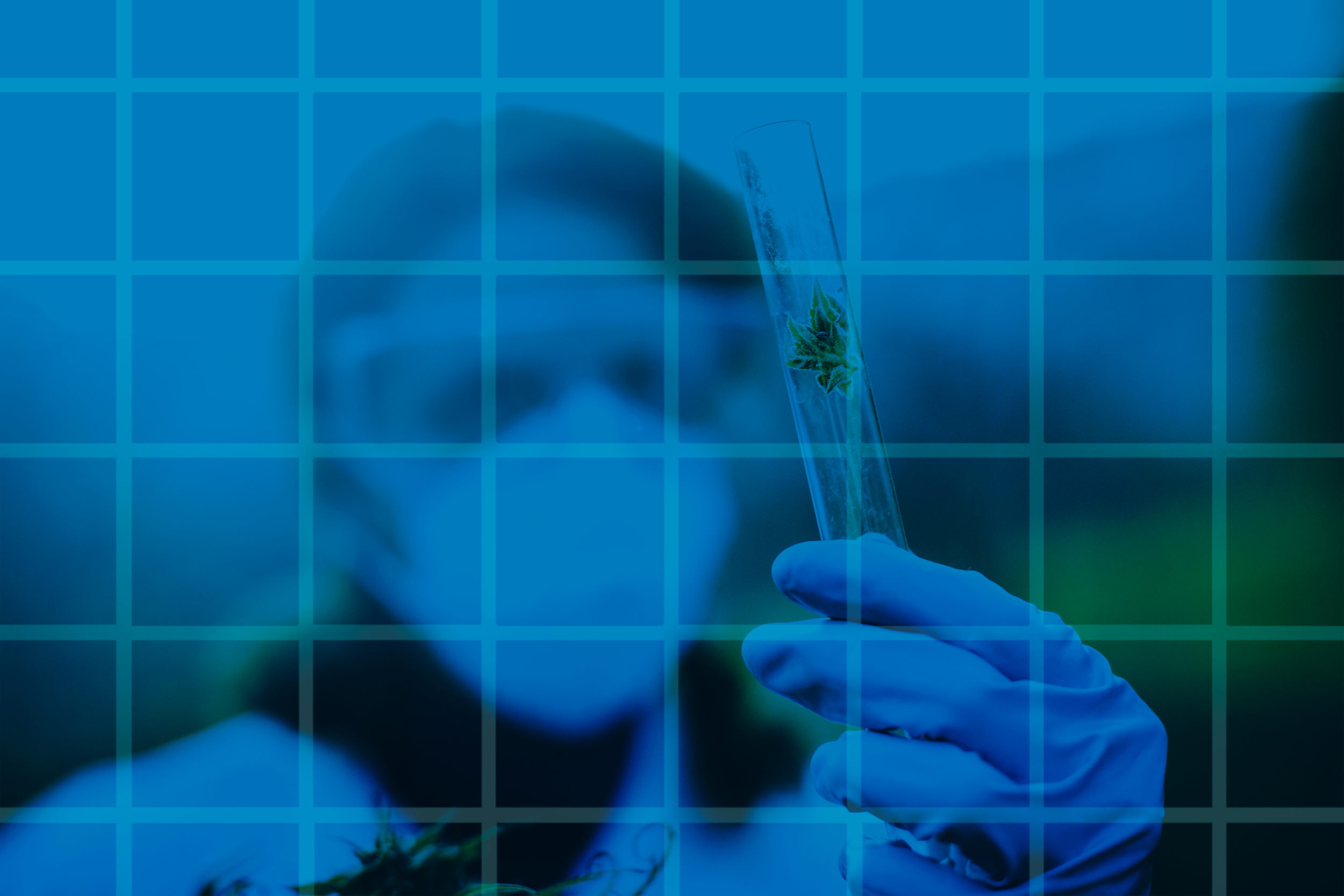 iStock-885599356.png