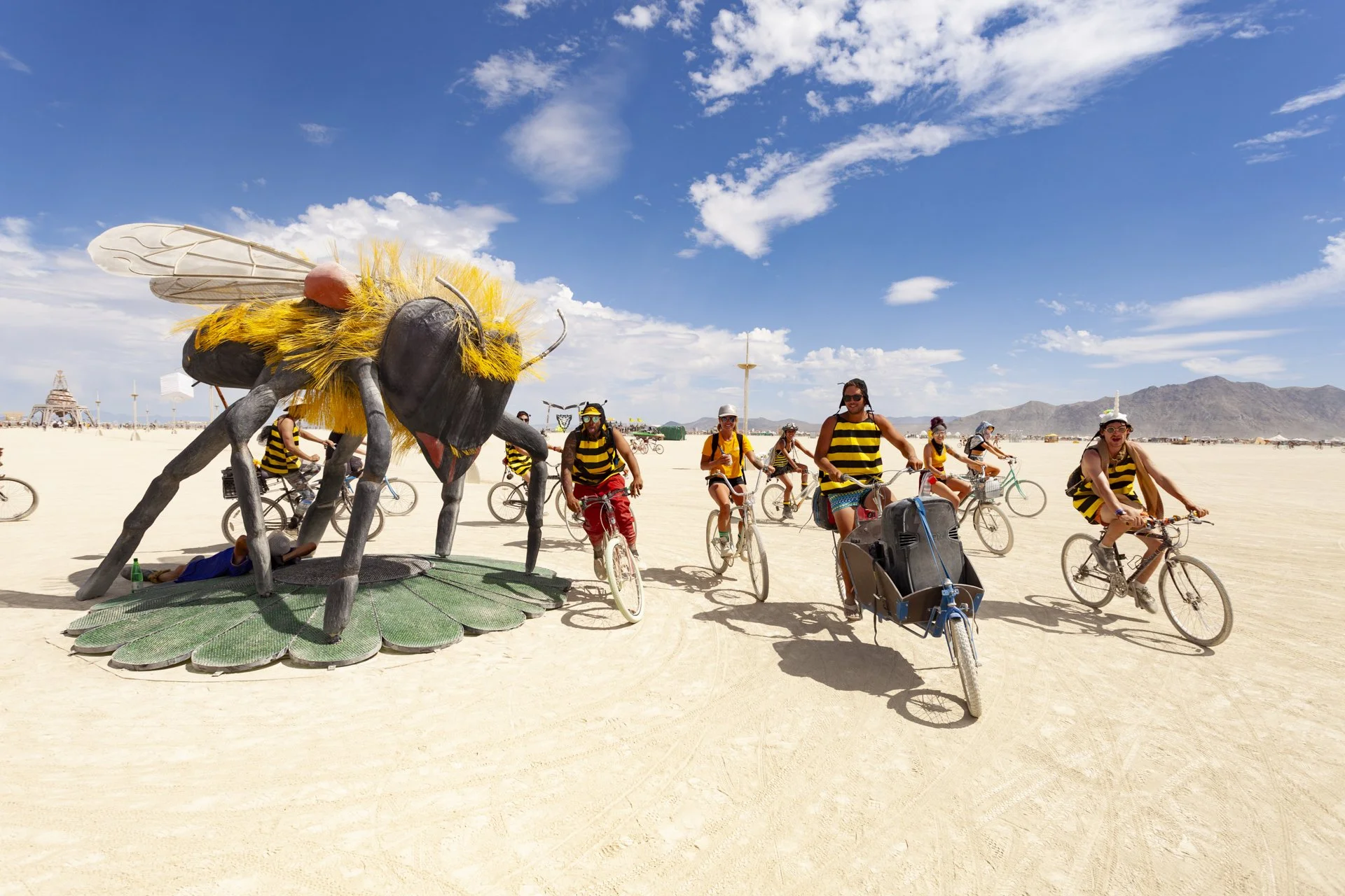 Bee or Not to Bee_Mr and Mrs Ferguson_-8799.jpg