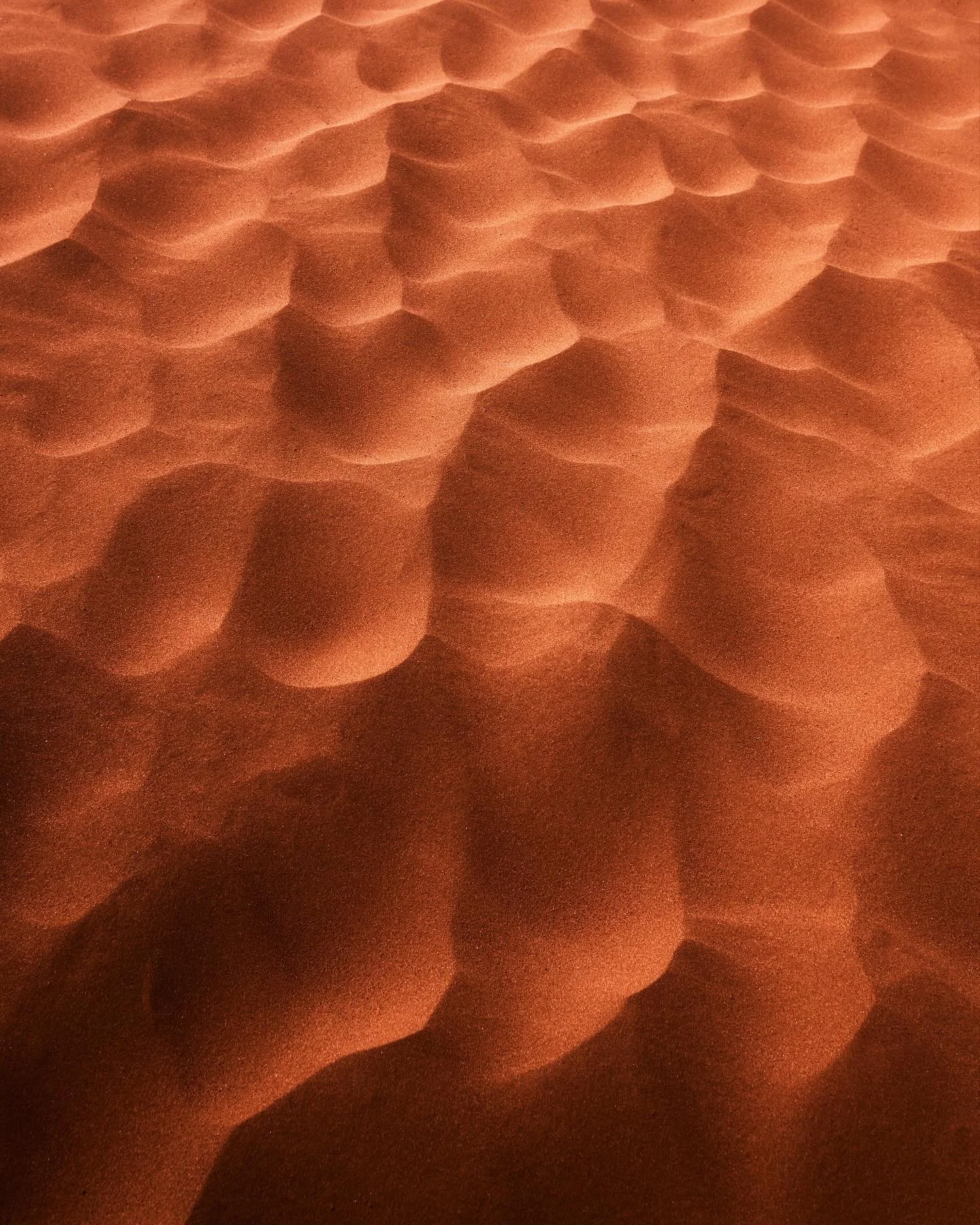 Desert texture | American Southwest