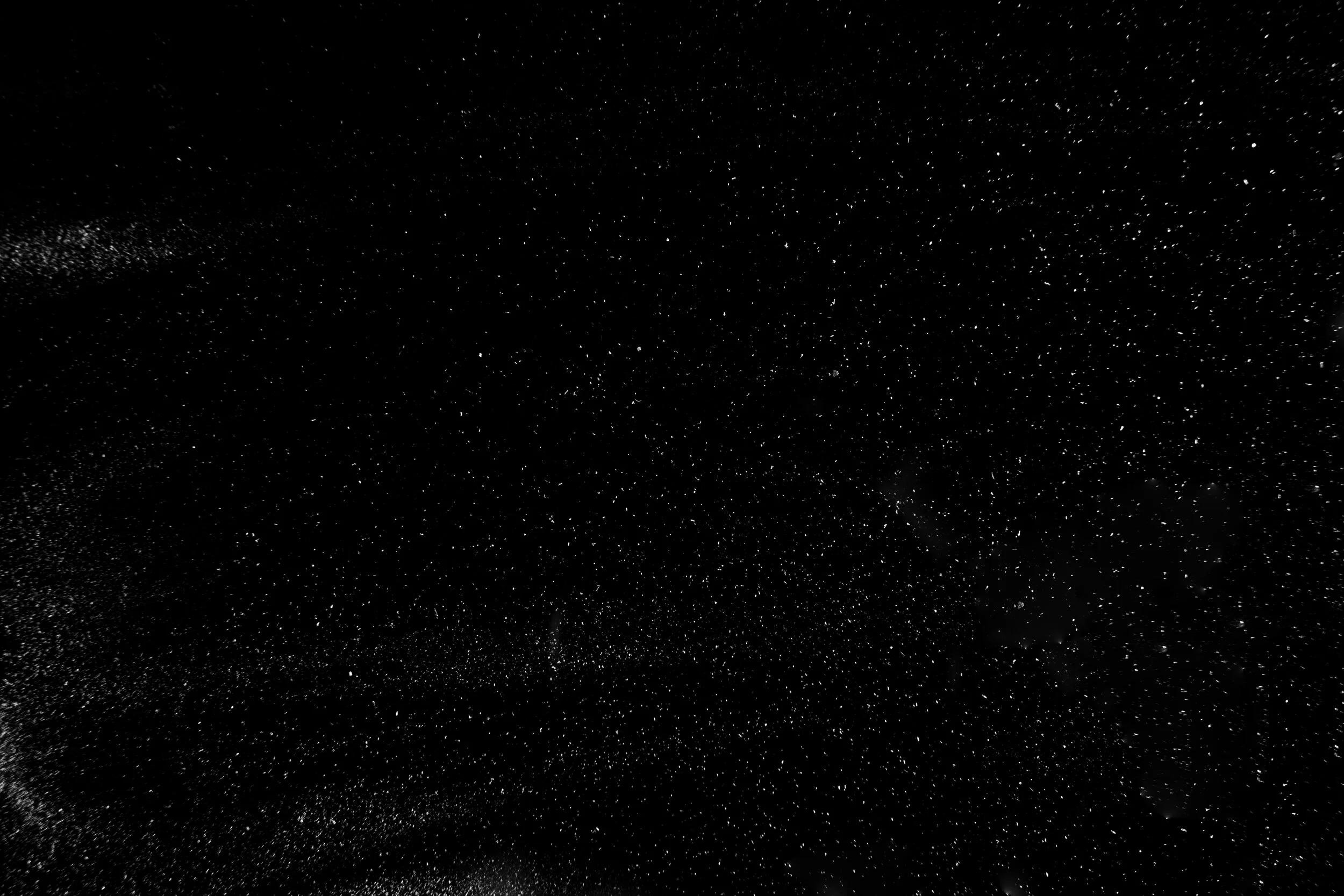 Black-Speckle.jpeg