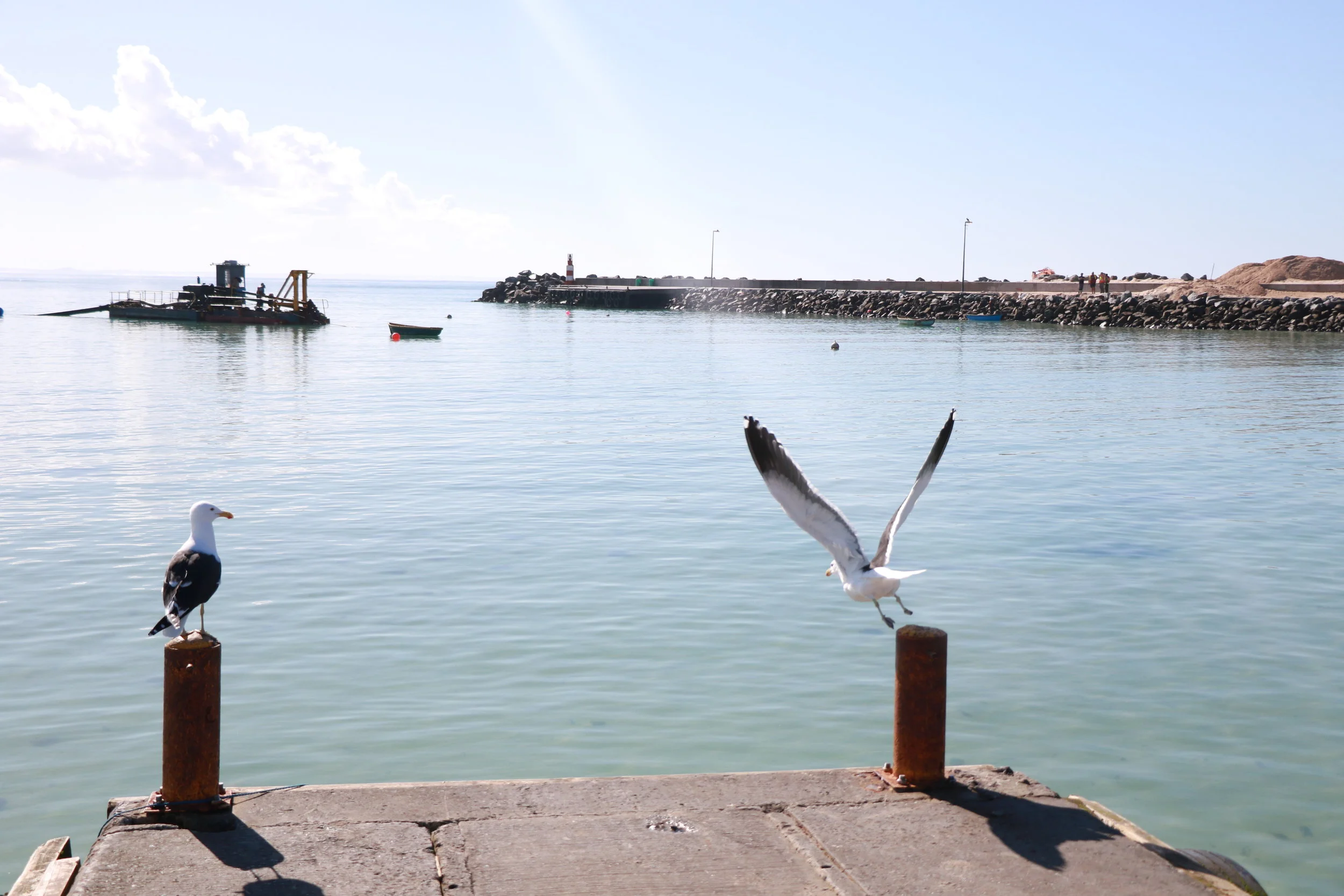 The beautiful harbour ….. Struisbaai 