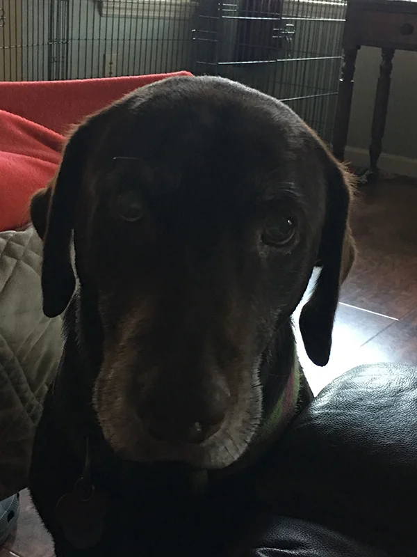 Lilly