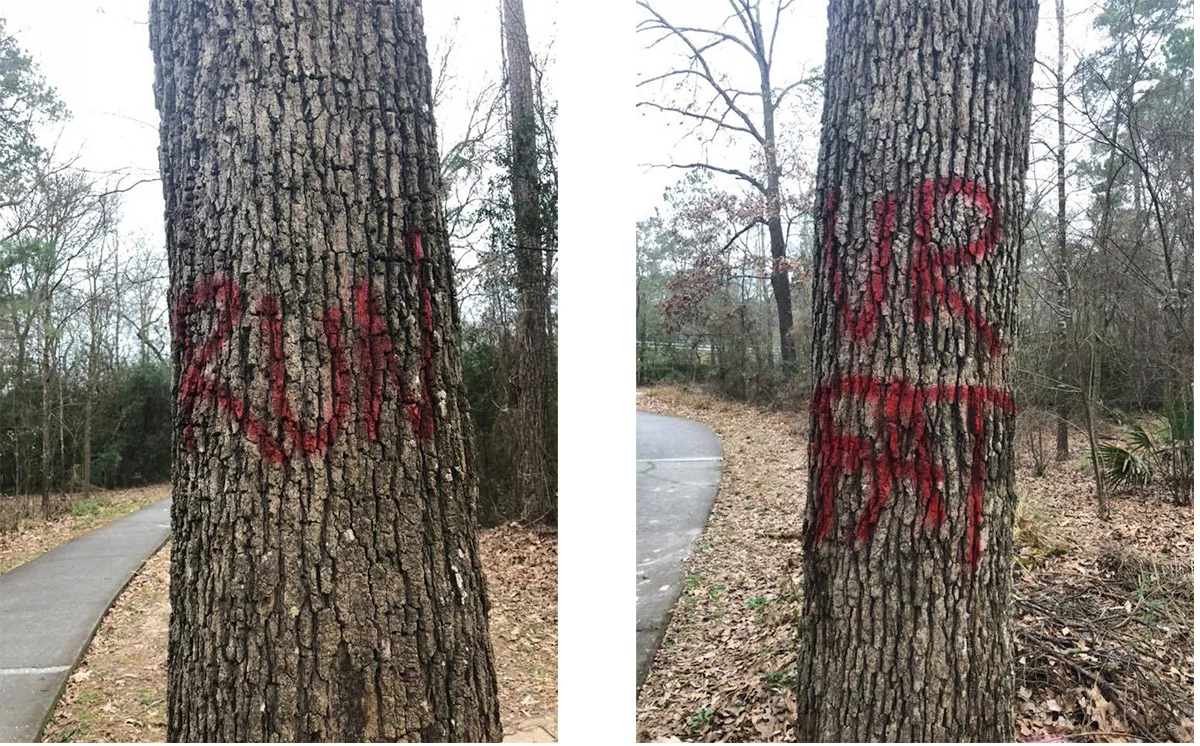 treestogether.jpg