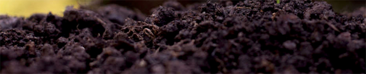 mulch.jpg