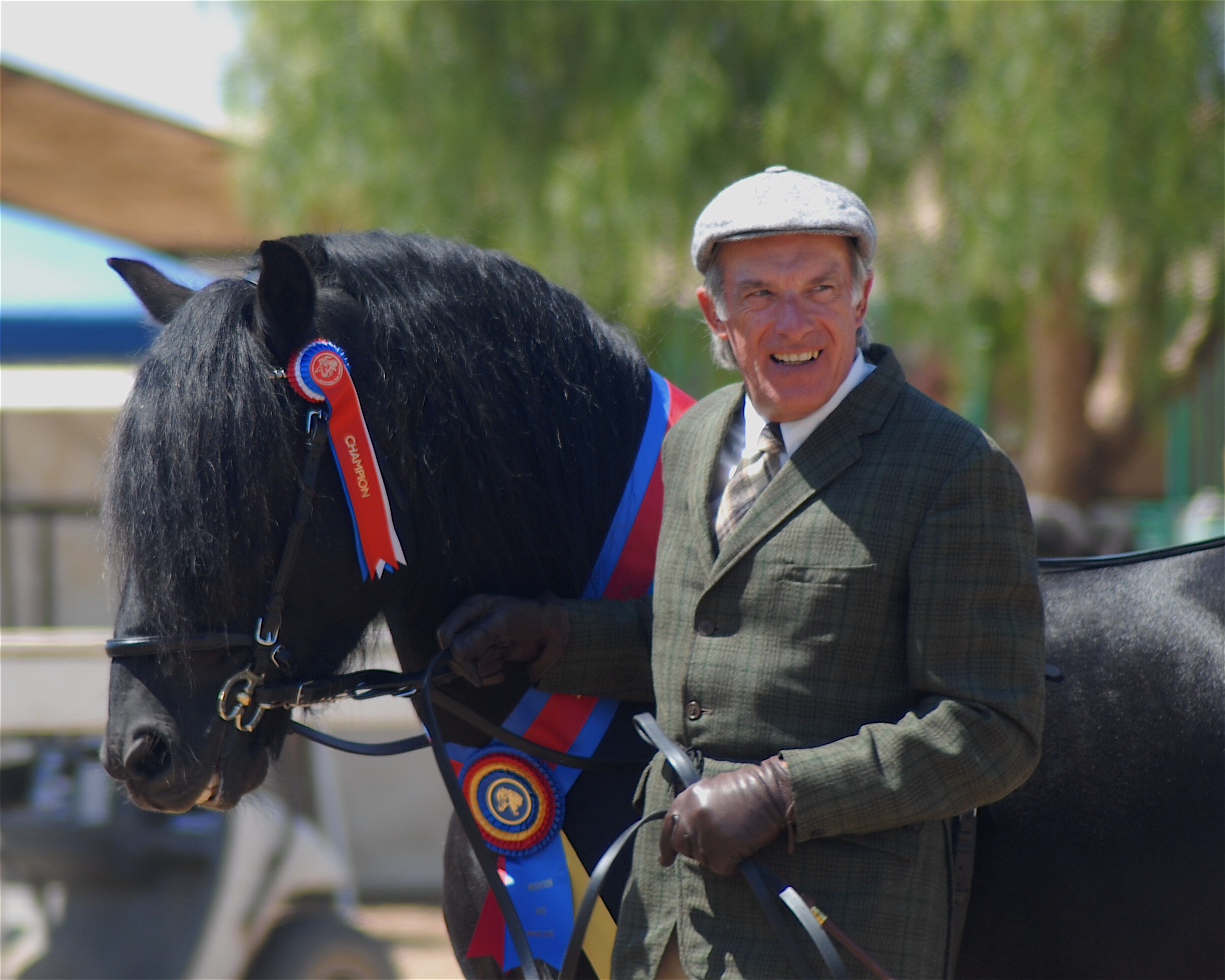 Roger Cleverly shows Colliery Alick at the 2007 West Coast Connemara Show, where he earns Champion M&M Pony and Reserve Best in Show