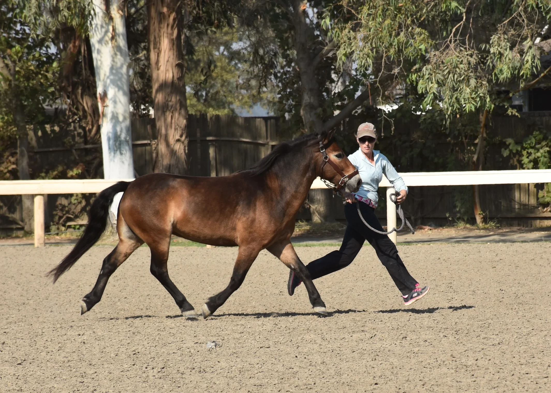 Teddy_Adrienne_PCC2018_3 downsized optimized.jpg