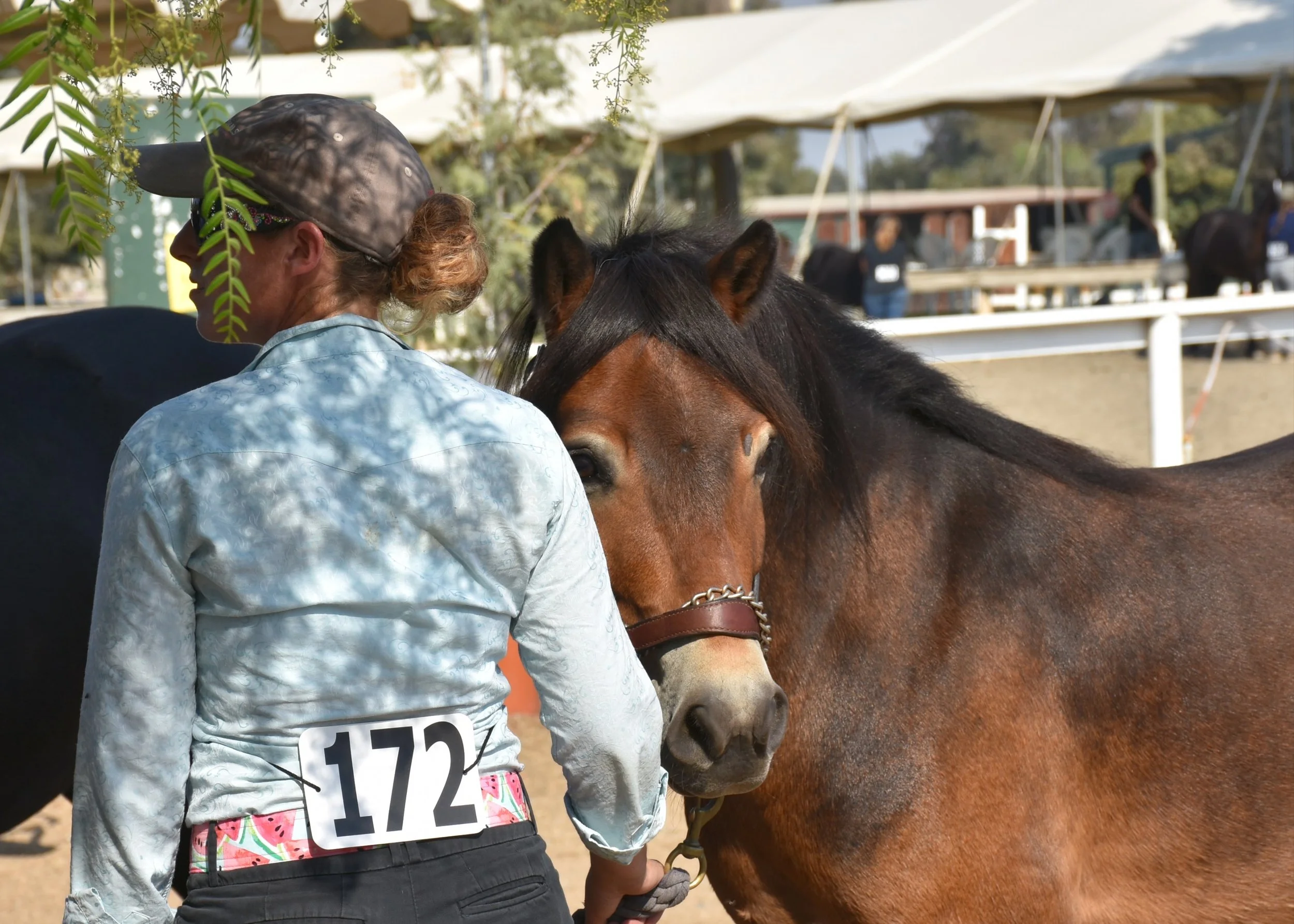 Teddy_Backgate_PCC2018_2 downsized optimized.jpg