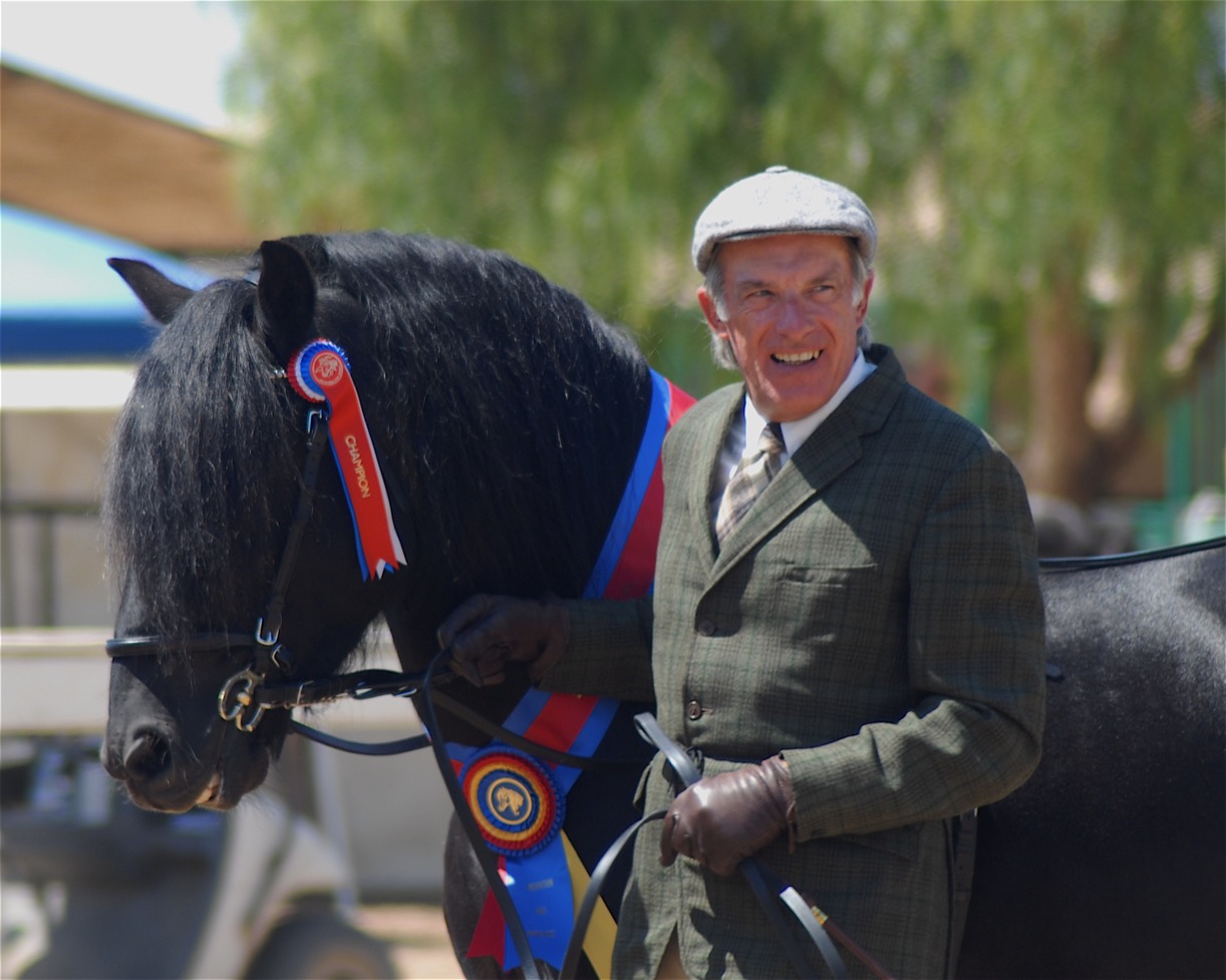 Colliery Alick, 1996 imported stallion, shown by Roger Cleverly