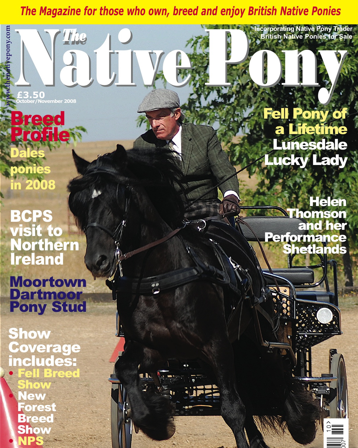 Colliery Alick, 1996 imported stallion, on cover of Native Pony magazine in 2008