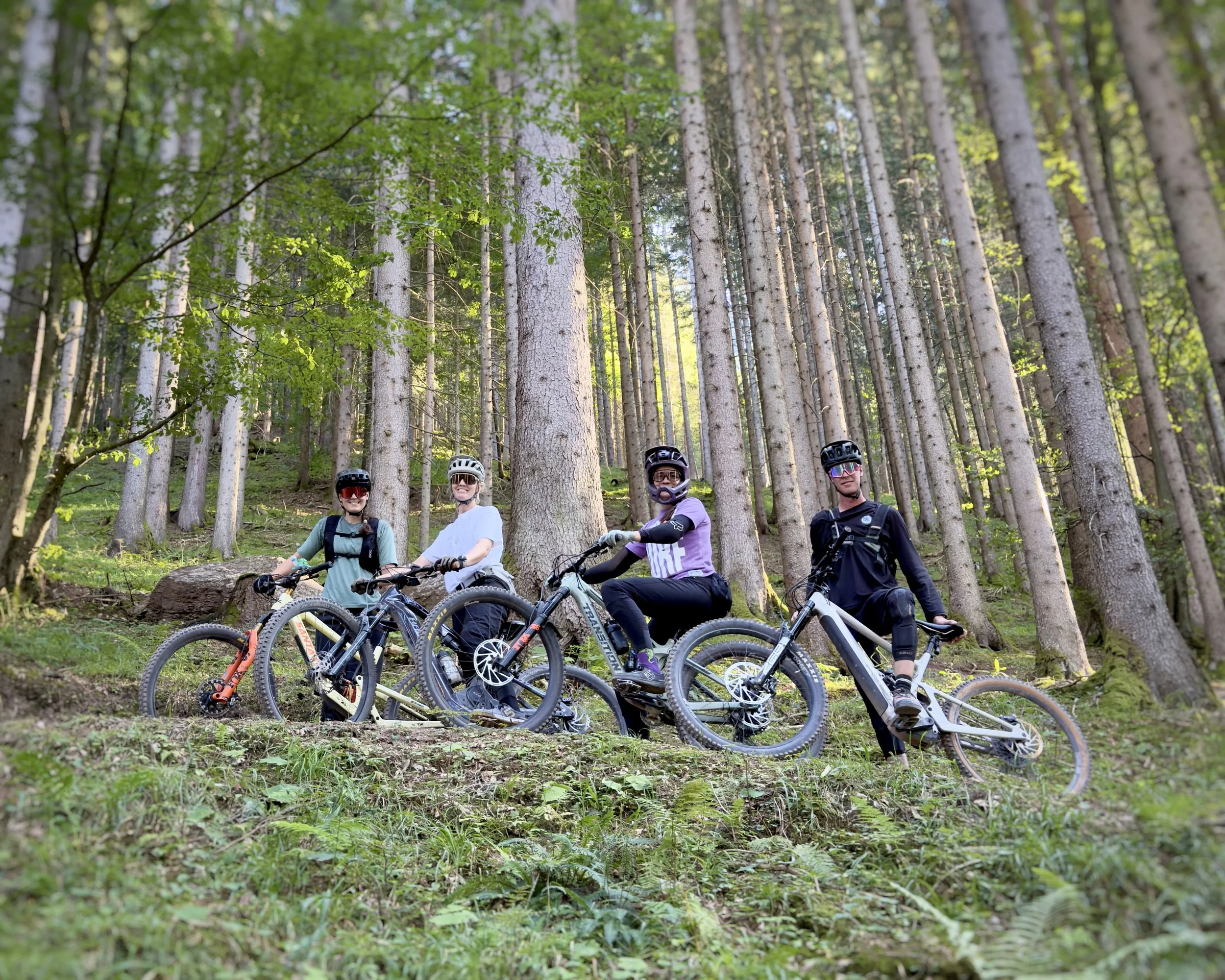 Group of mountain bike riders in forest