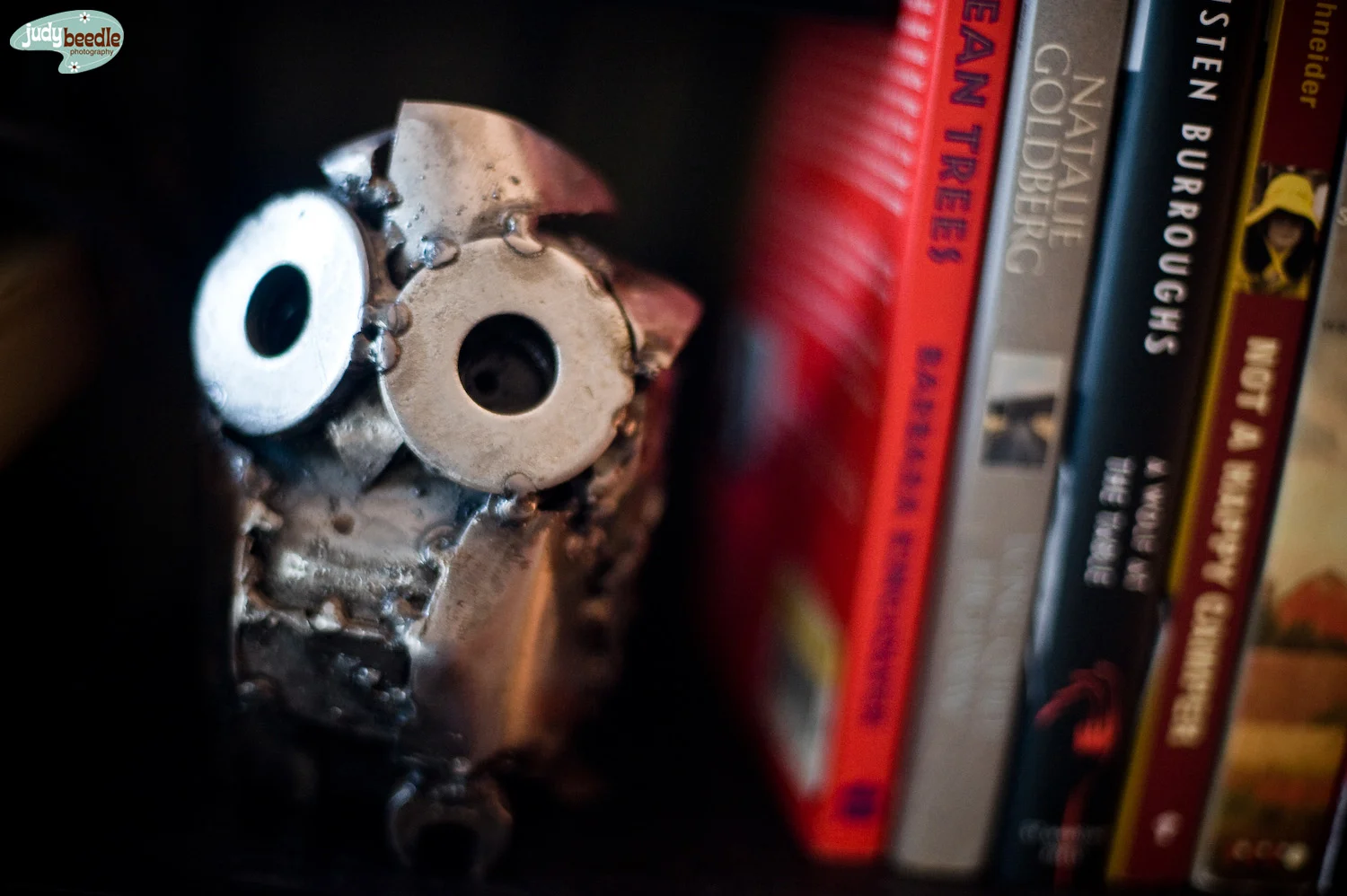 3/19 Home nook. Metal owl by the hubs.