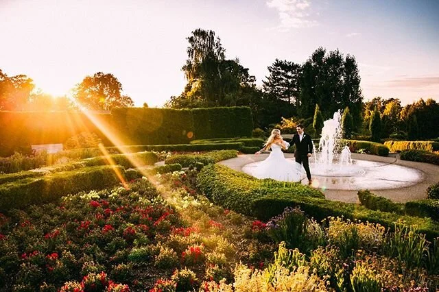 Can I be brutally honest with you guys for a second? I think there’s a small part of me that’s *actually* enjoying all of this down time. Normally from March - December I’m easily working 100 hr weeks just pouring everything I have