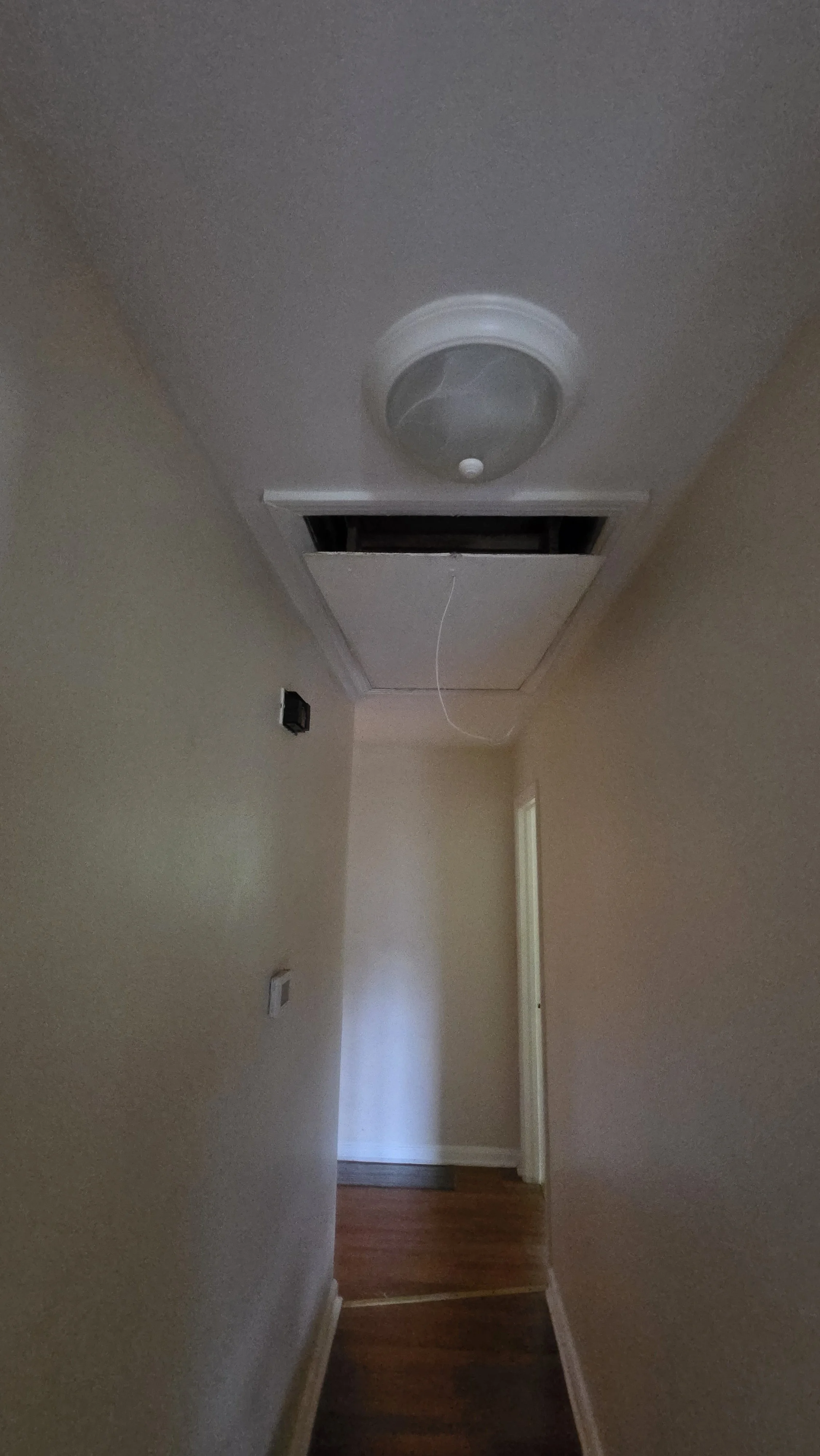 20260623_141409.jpg
