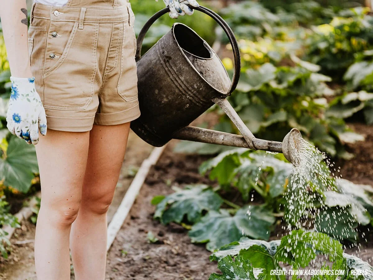 Gardening This Spring? How Tui Na Massage Can Prevent Back Strain