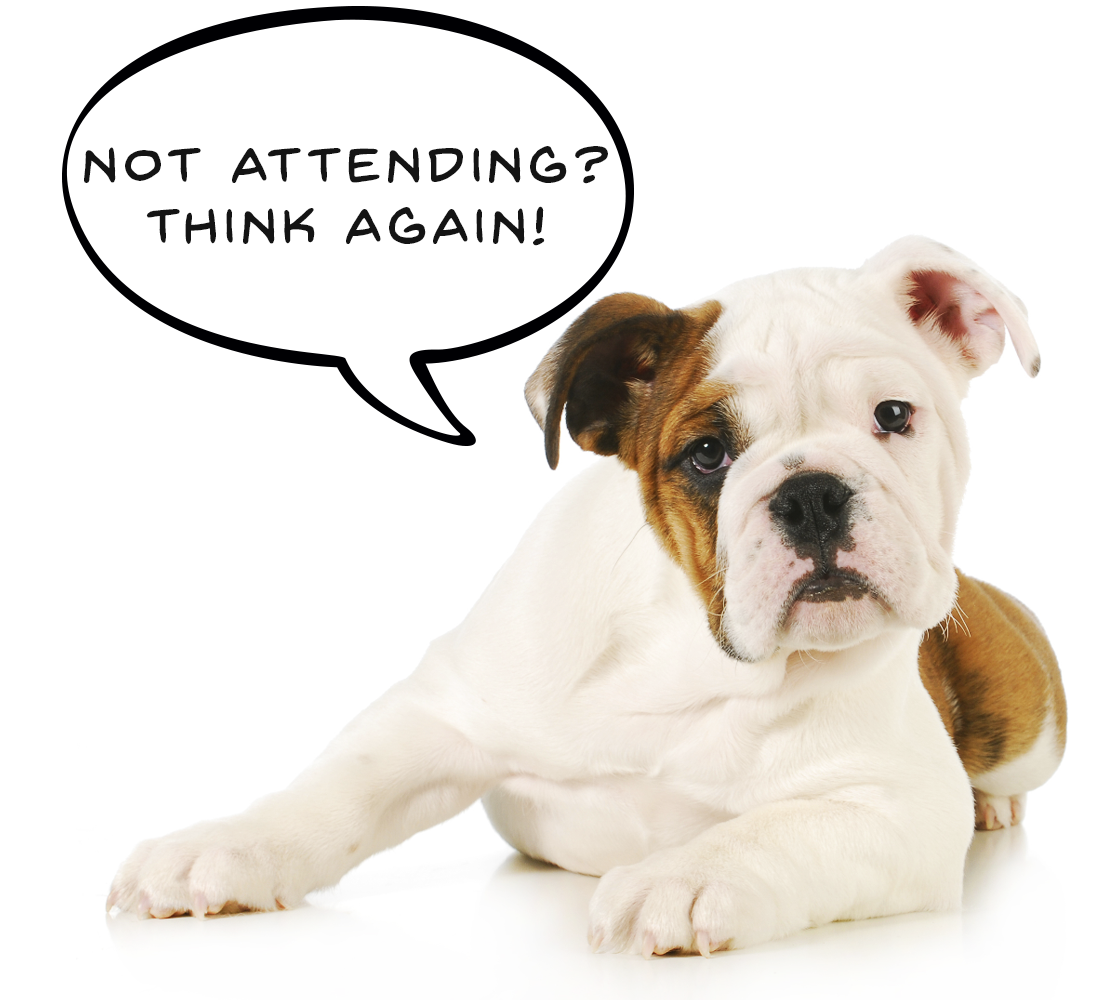 sponsorpup.png