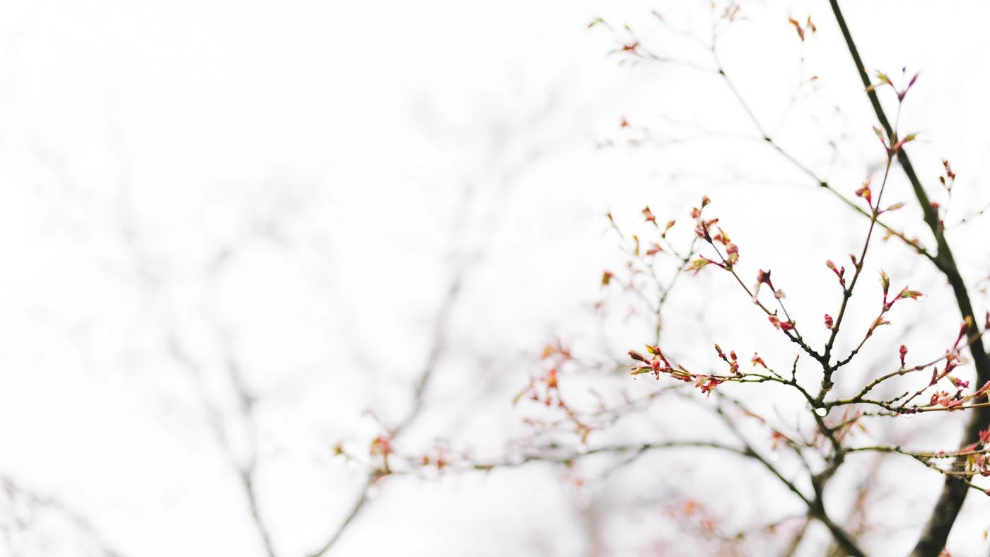 What It Means to be Held