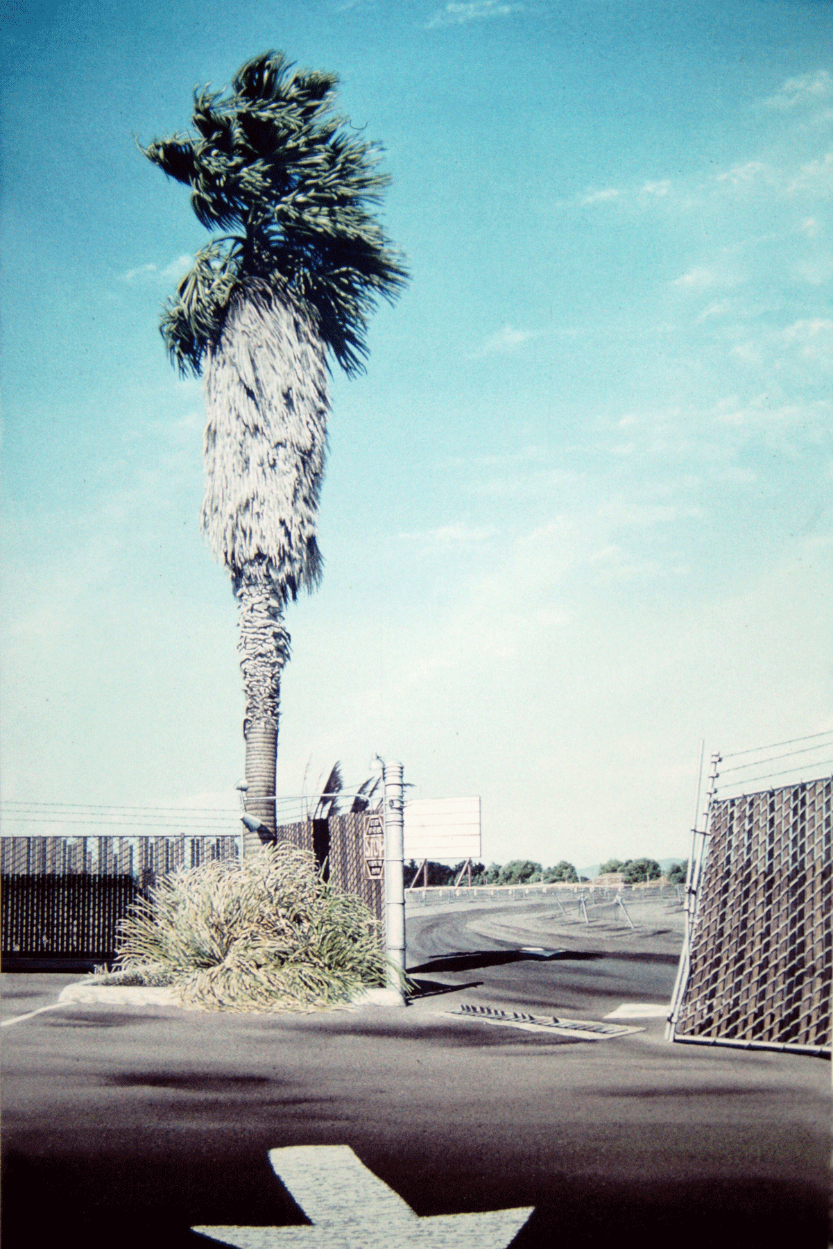 Burlingame Drive-in II