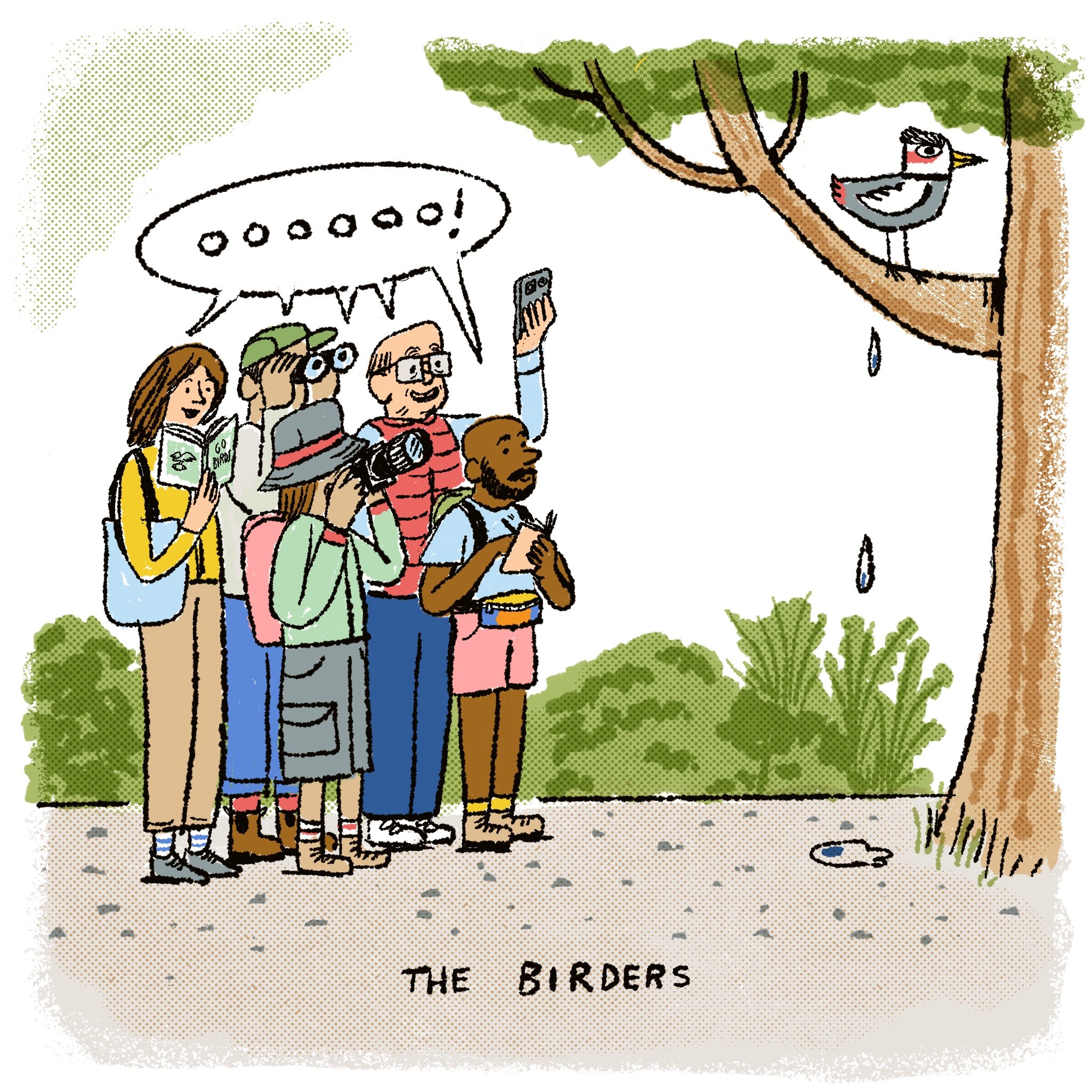 birders final.jpg