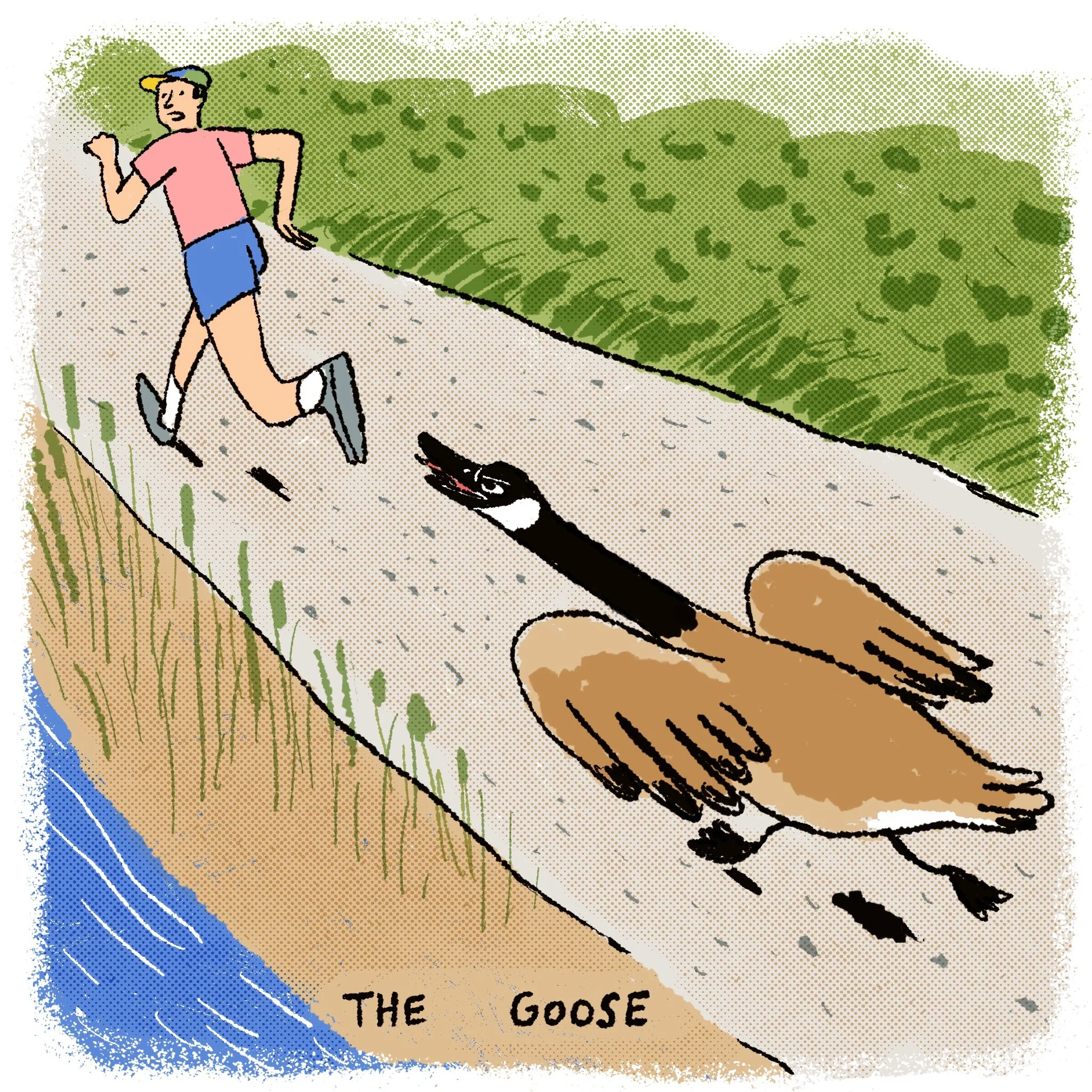 goose final.jpg
