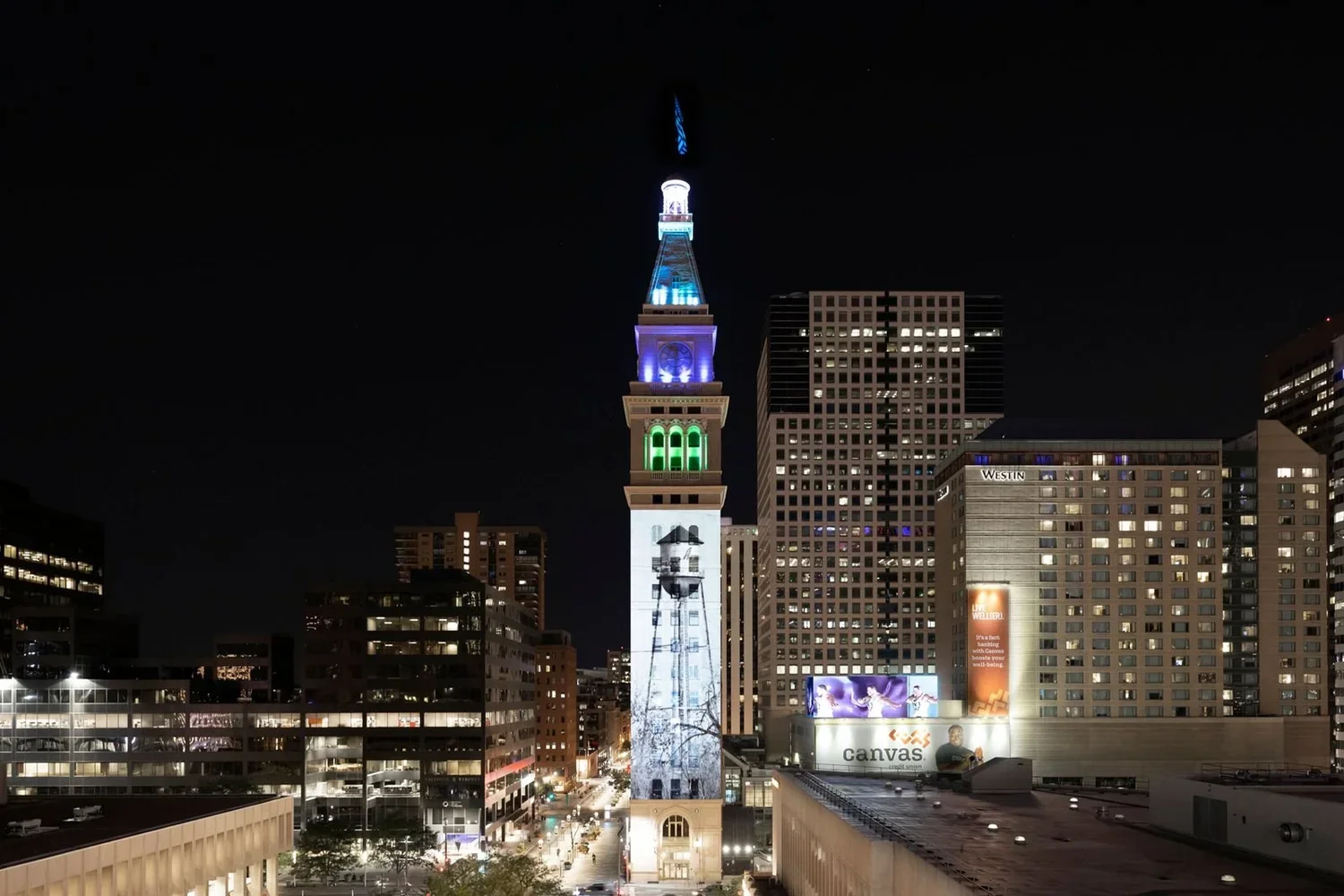 The Controlled Wild (August 2021)