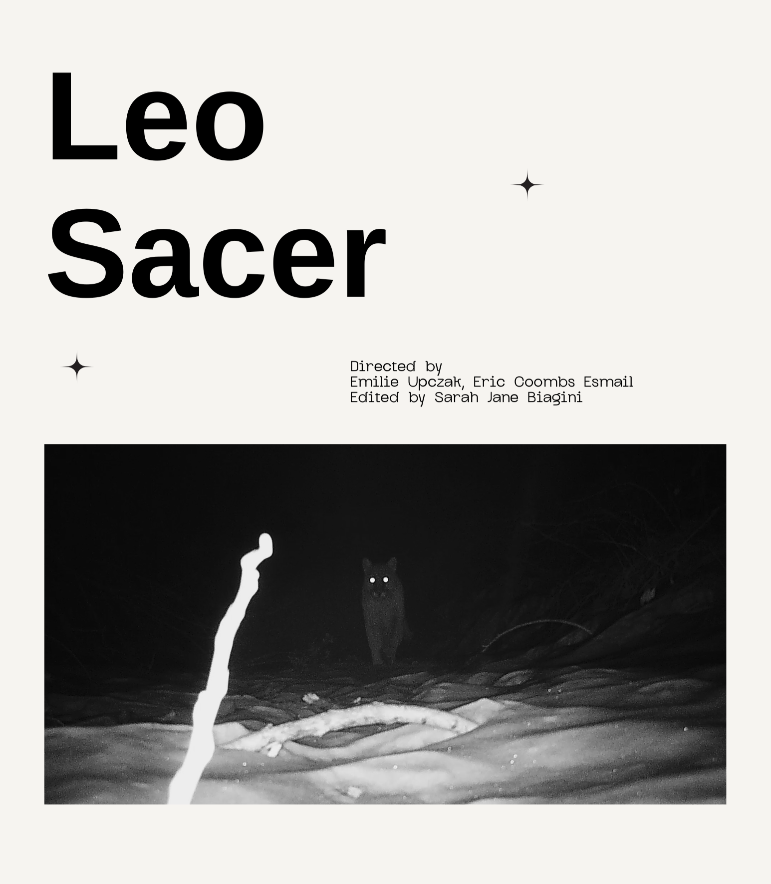 Leo Sacer poster.png
