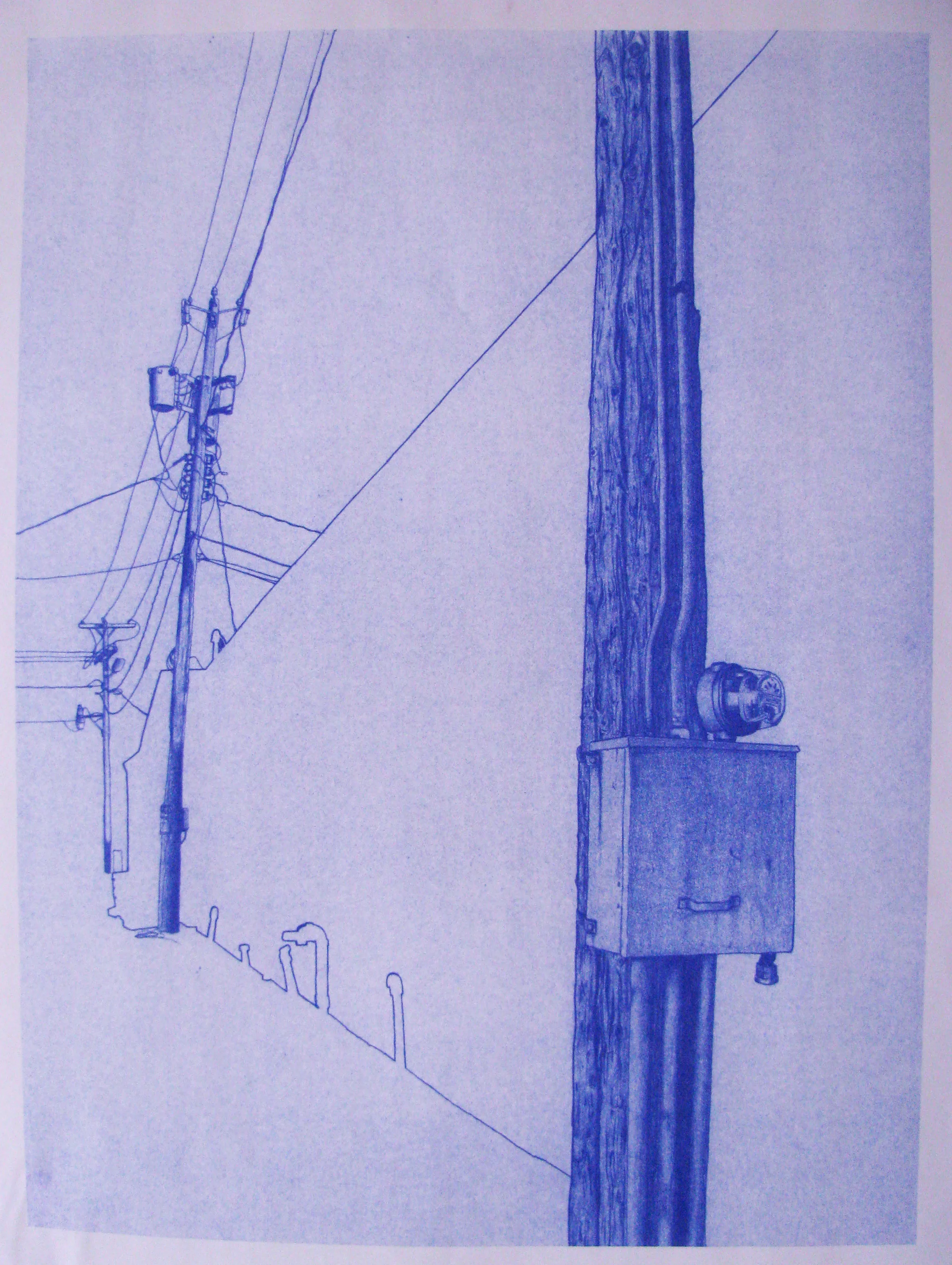 Thickheaded and strong.JPG