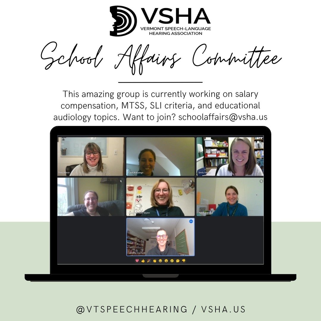 Thank you to our school affairs committee members for working to improve policy, practice, and working conditions in our little state! #vtslp #vtslpaud #slpeeps
