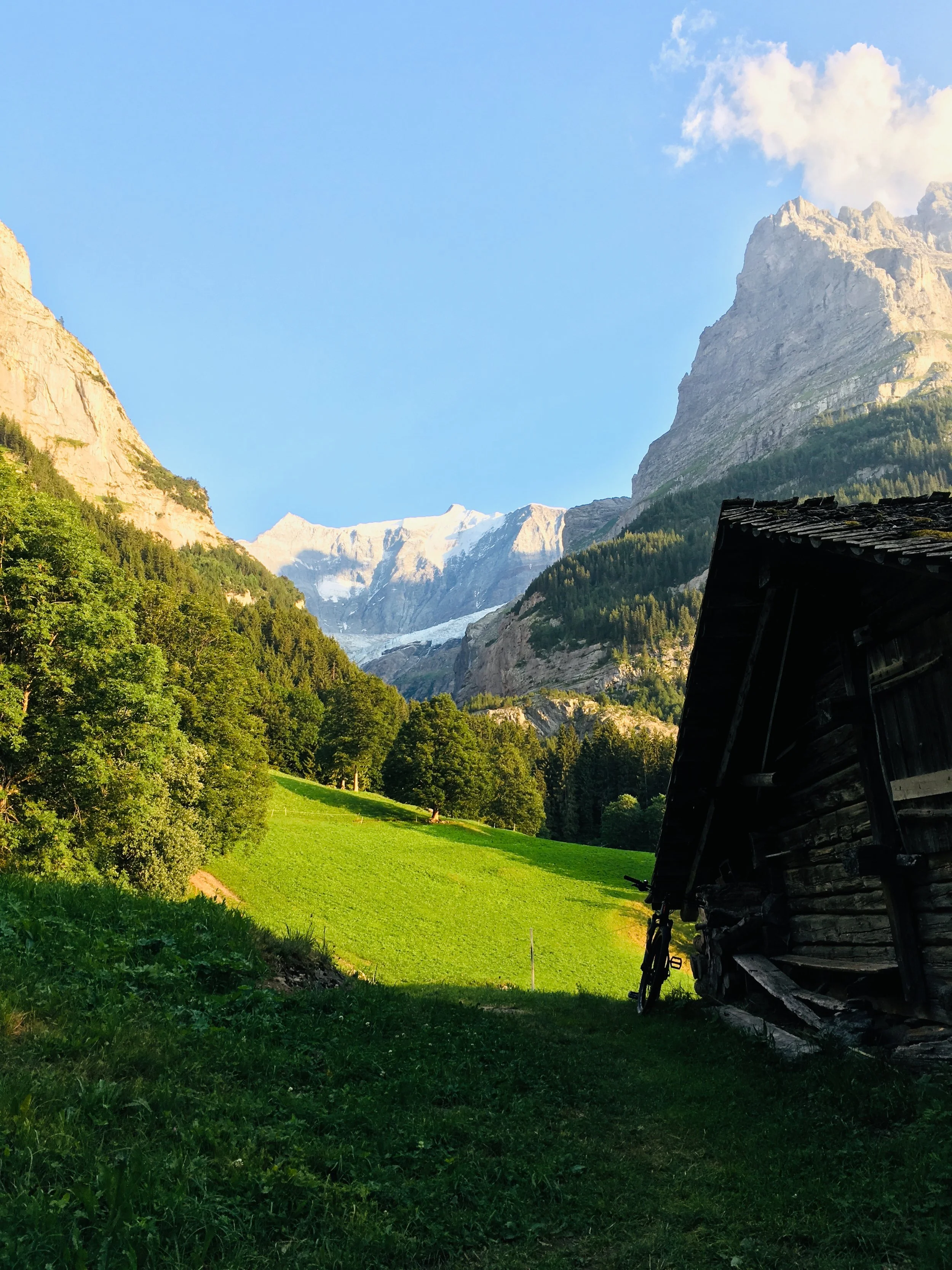 The Importance of a Positive Attitude