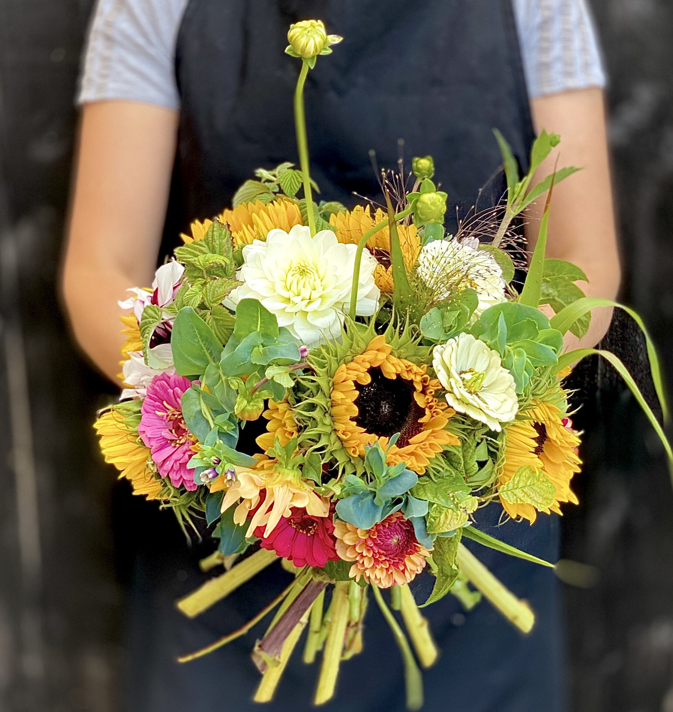 4D300DA3-0E21-4B37-B9F2-8415DEDEC1AE