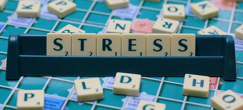 Anonymous Turmoiler: Tumultuous Path of Grad School