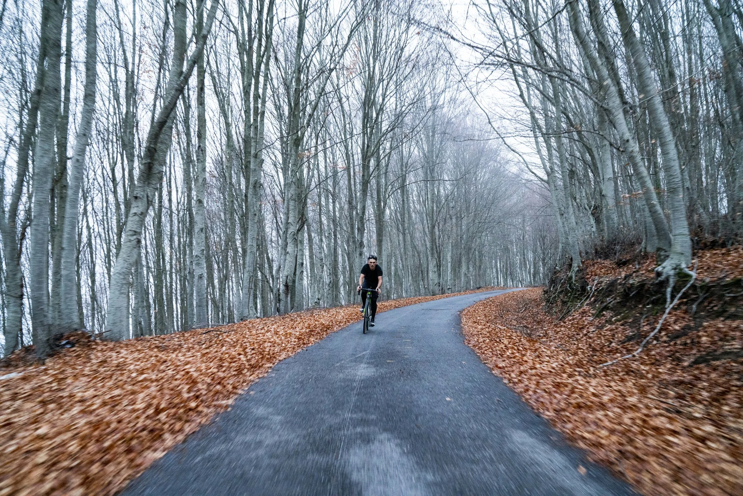 The Shadow of the East