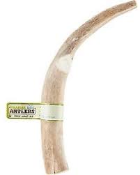 Antler chew