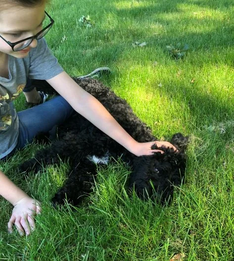 2019-06-08 17.44.22.jpg