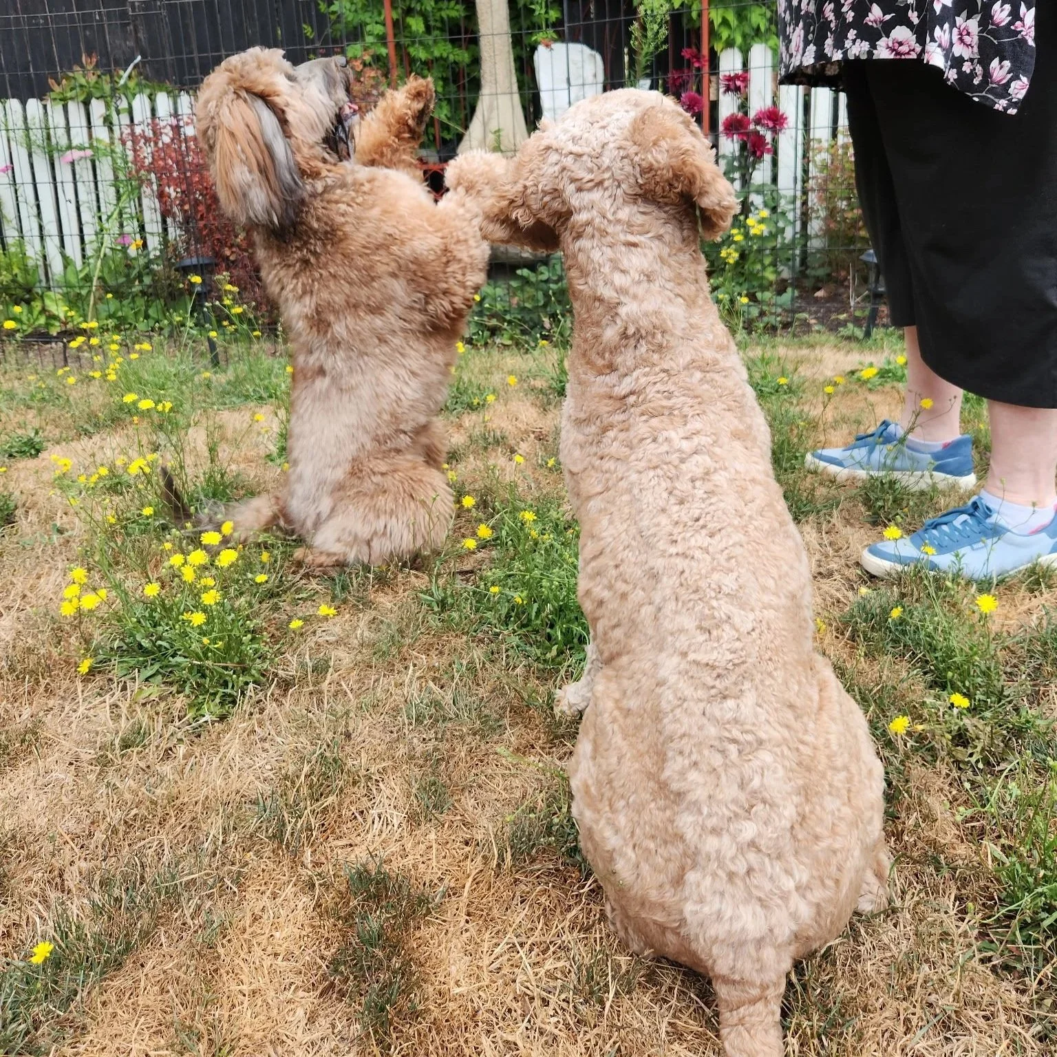 Sadie &amp; Whysky